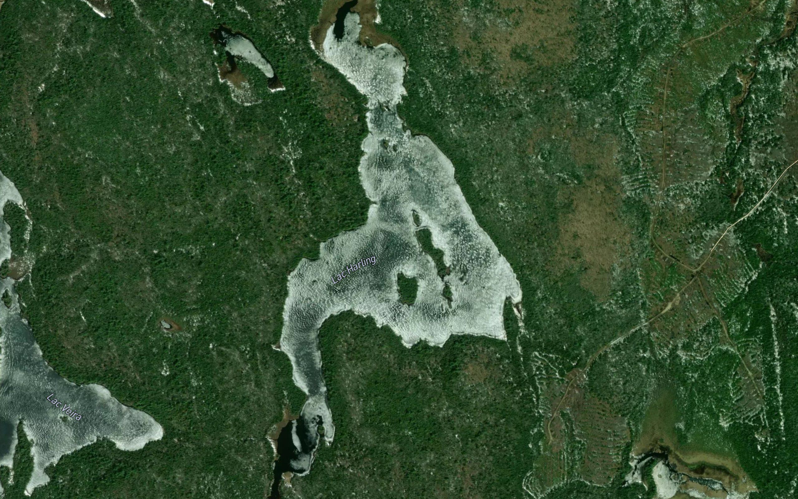 Lac Harling