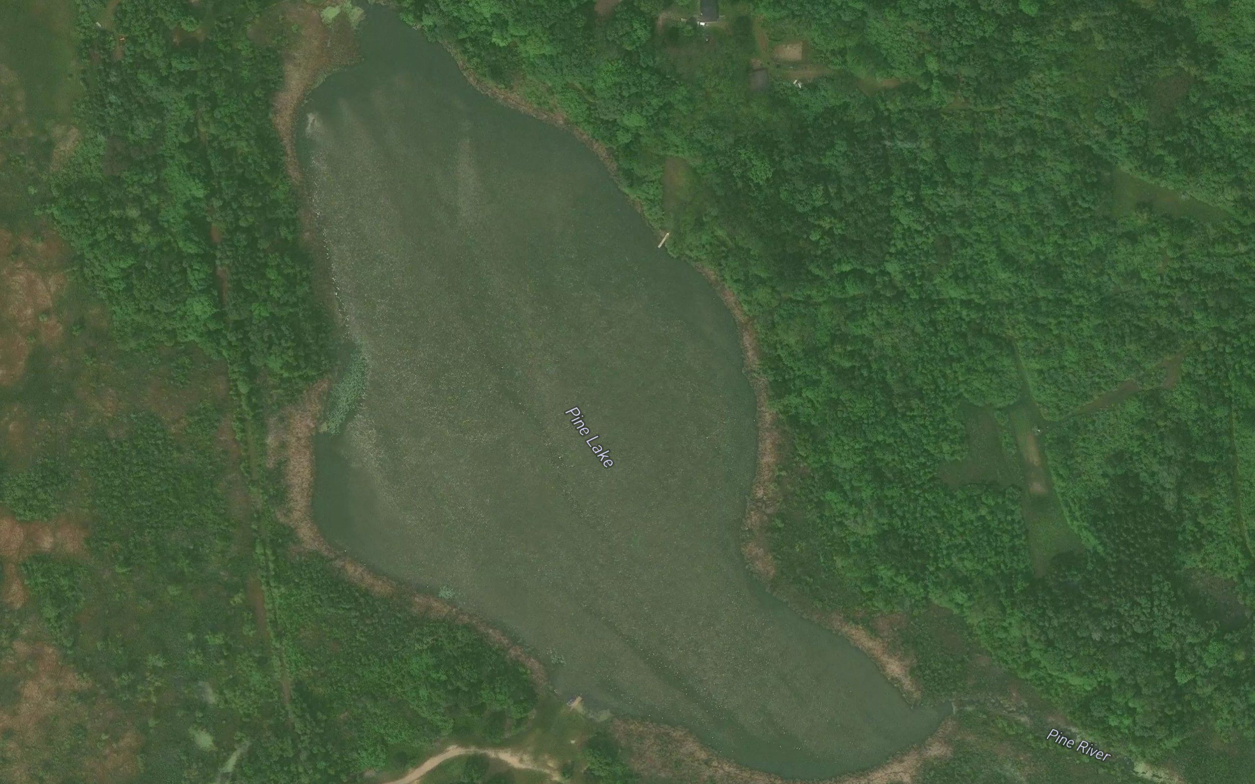 Pine Lake