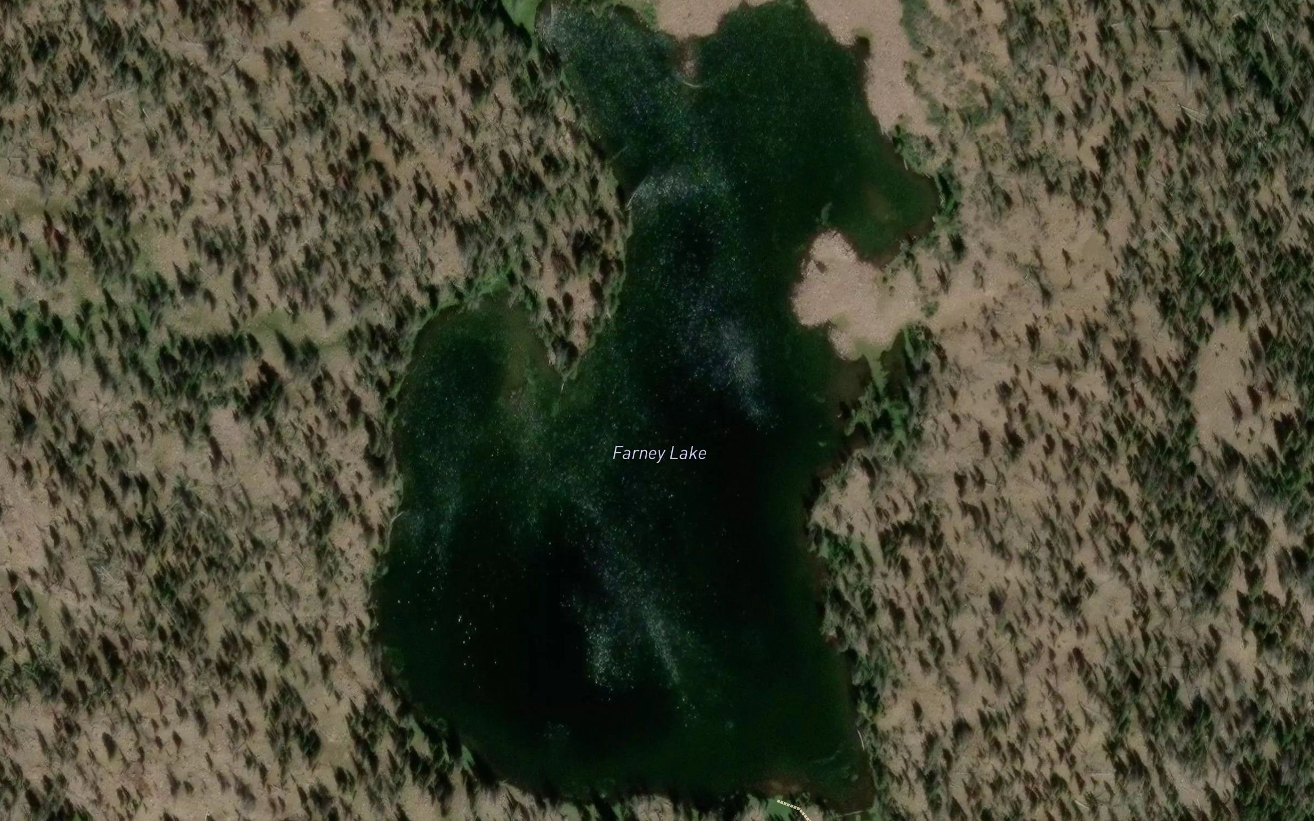 Farney Lake