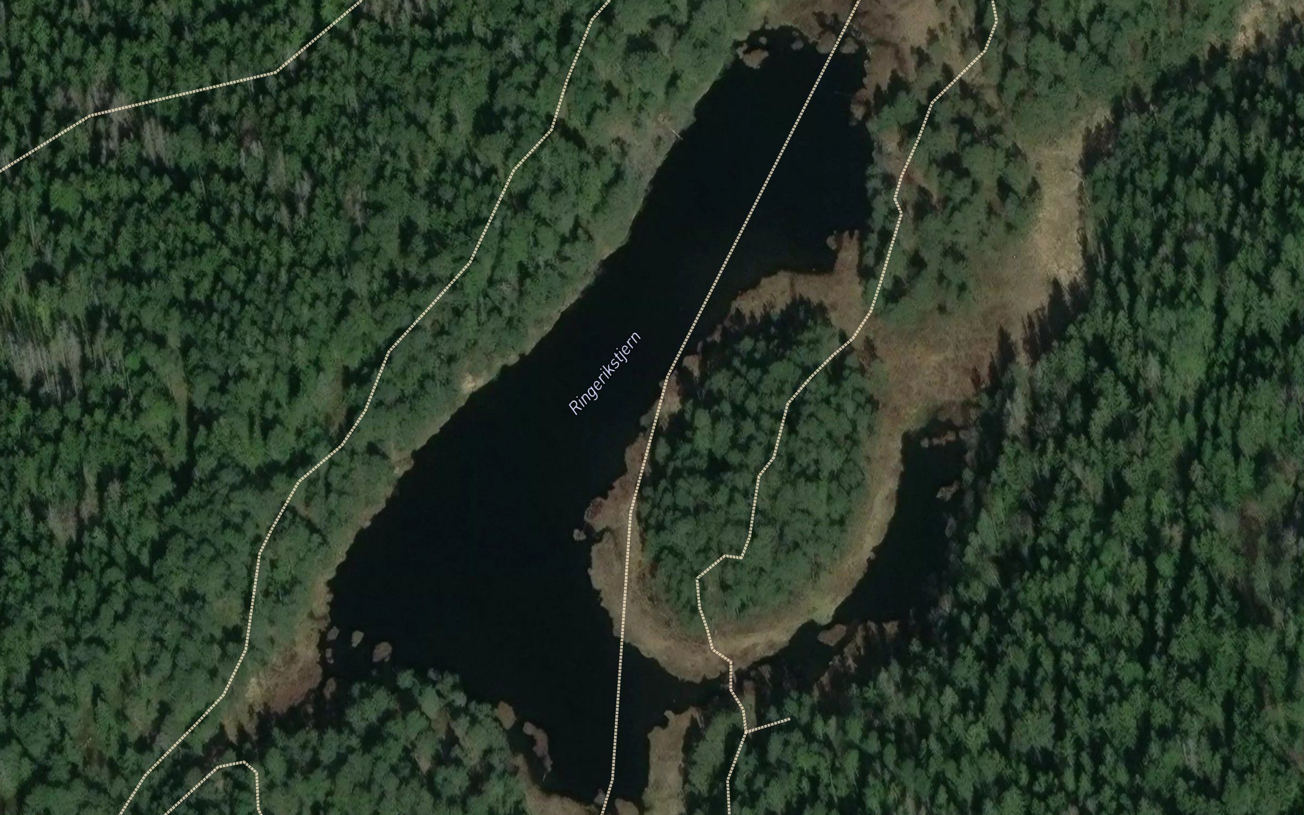 Ringerikstjern