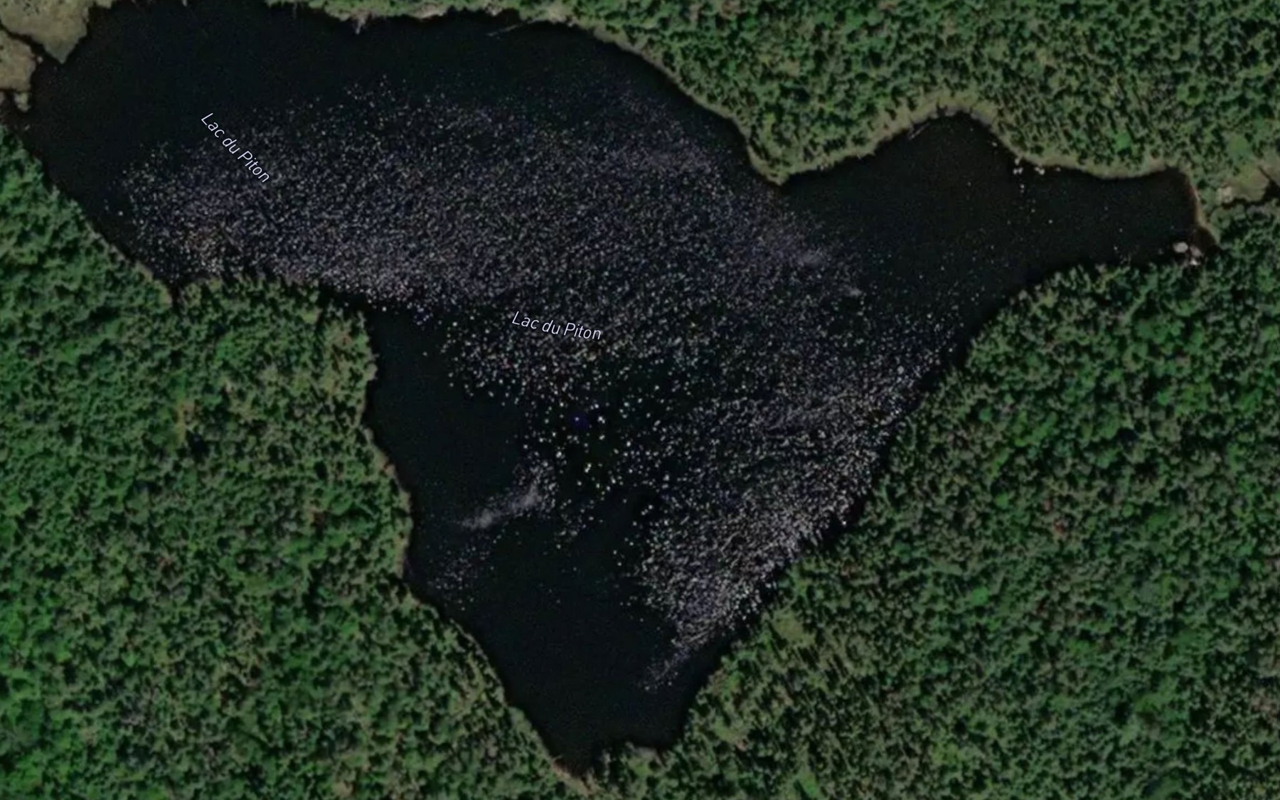 Satellite map of the Lac du Piton
