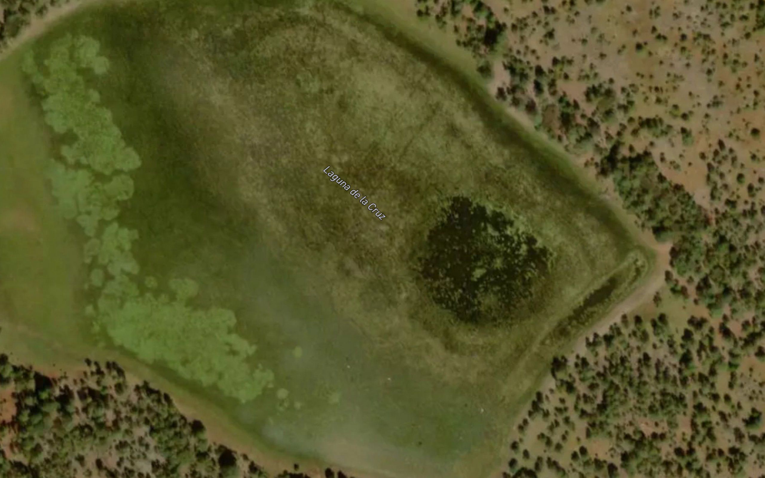 Laguna La Lagunita