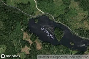 Gravsjon