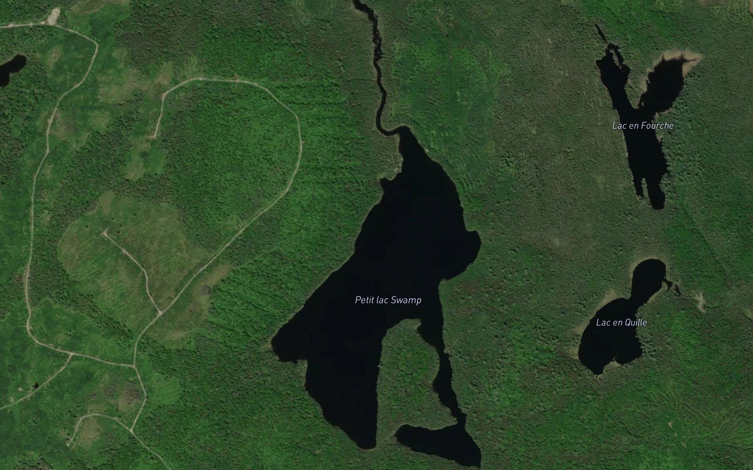 Petit lac Swamp