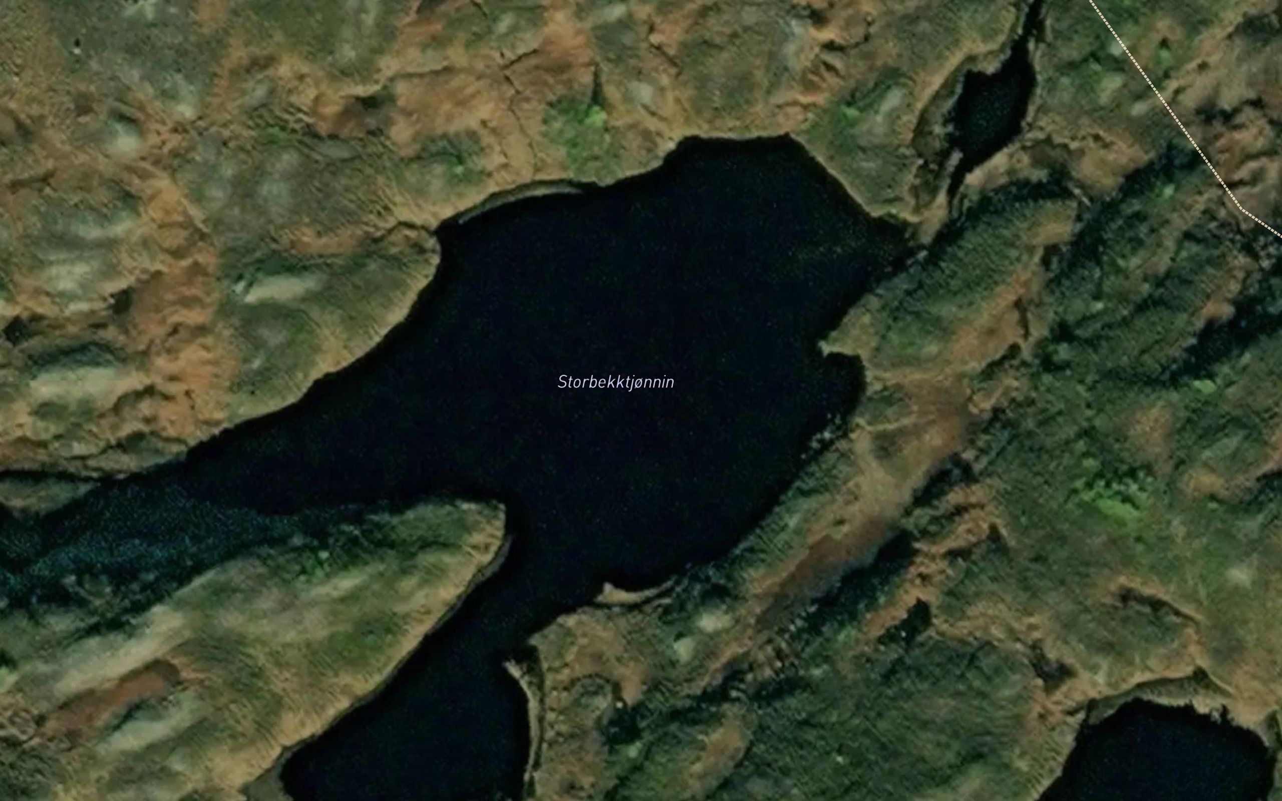 Storbekktjornin