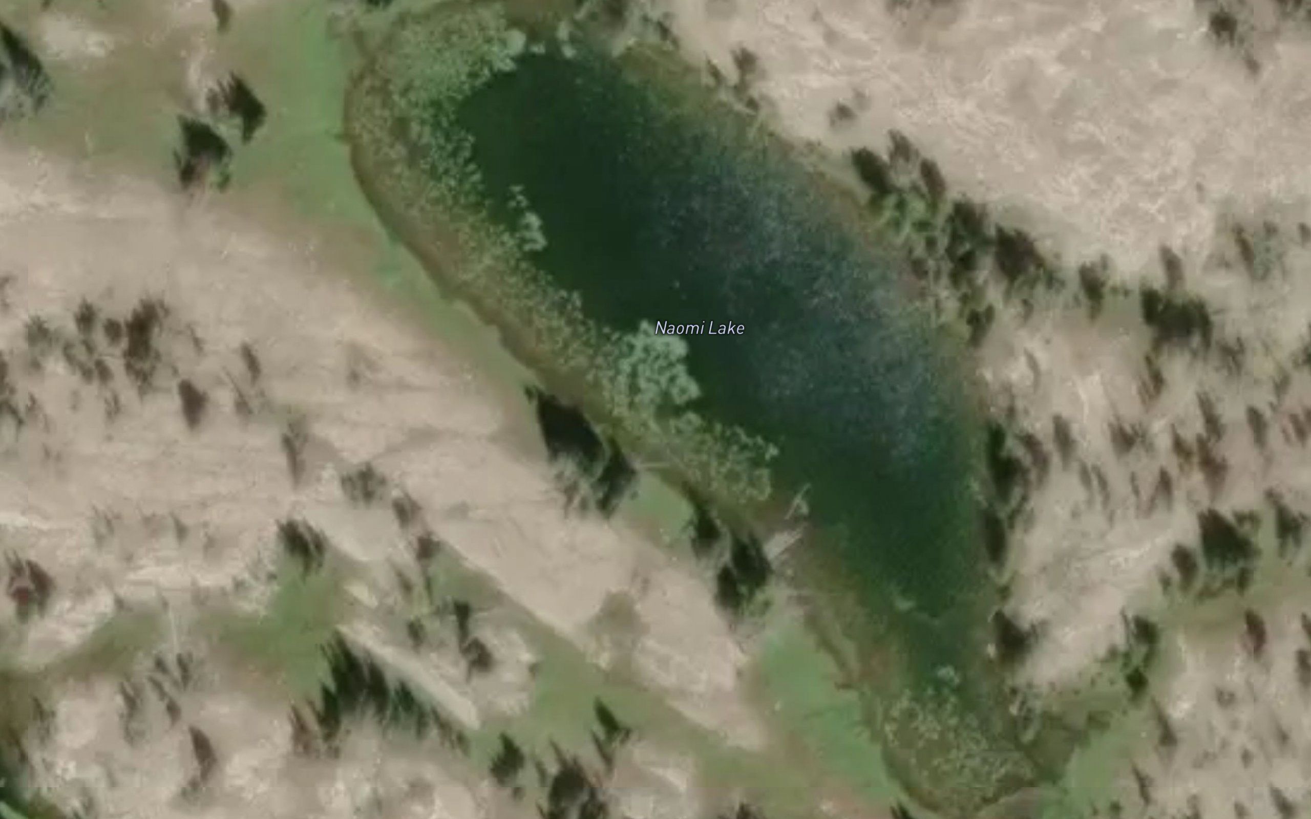 Naomi Lake