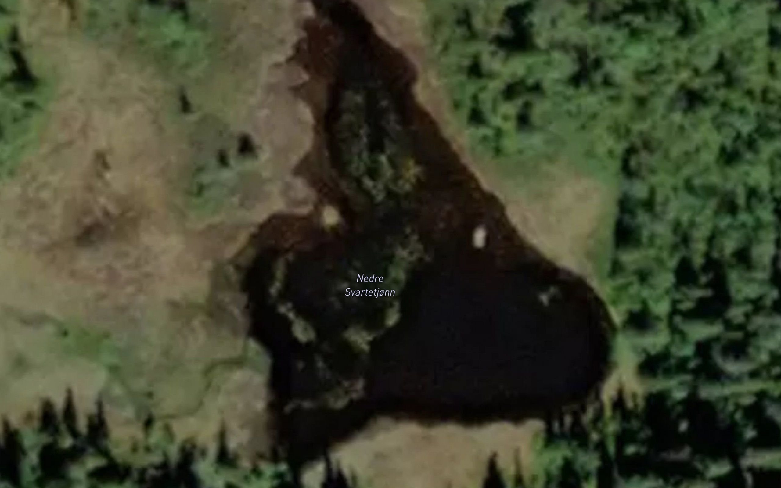 Svartetjorn,nedre