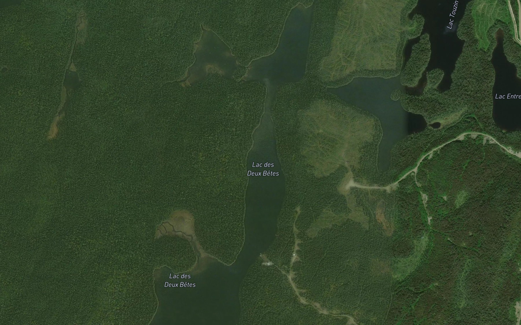 Satellite map of the Lac des Deux Betes