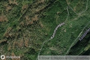 Kalddalselva