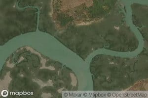 Rio Pandique
