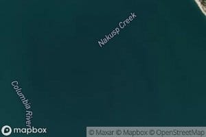 Nakusp Creek