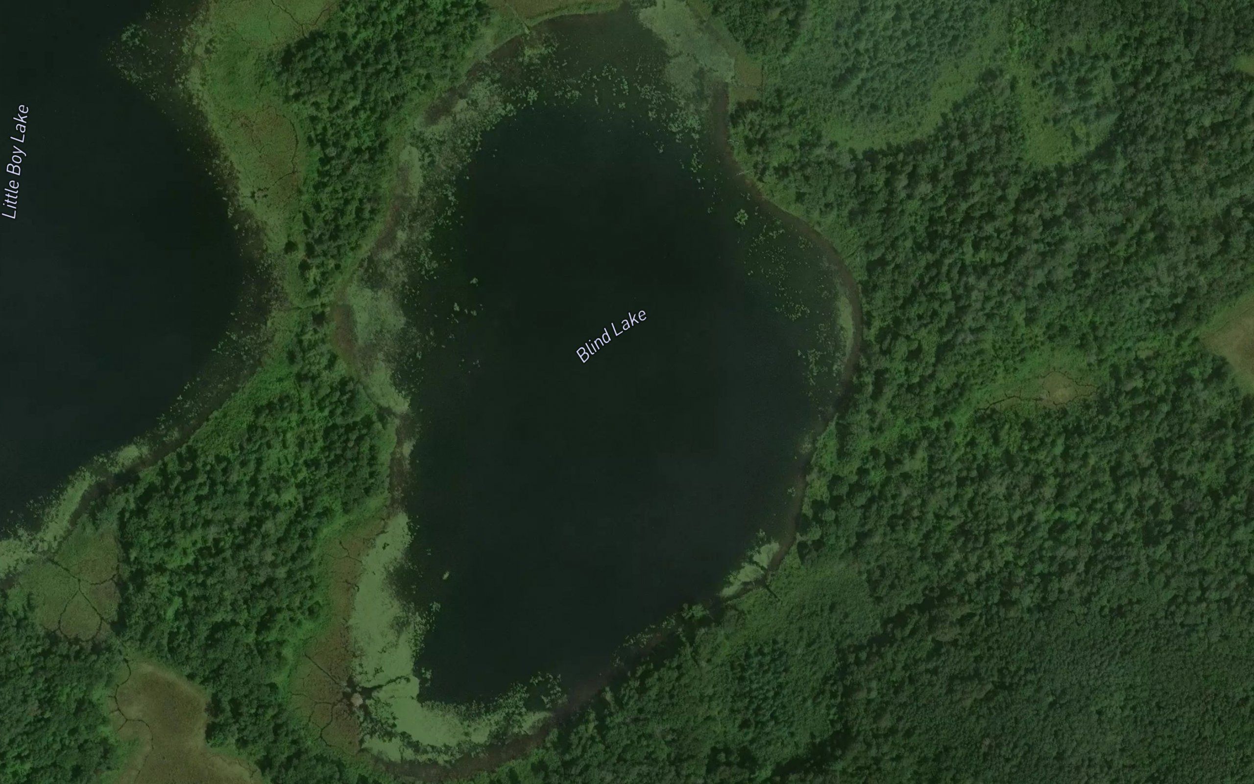 Blind Lake