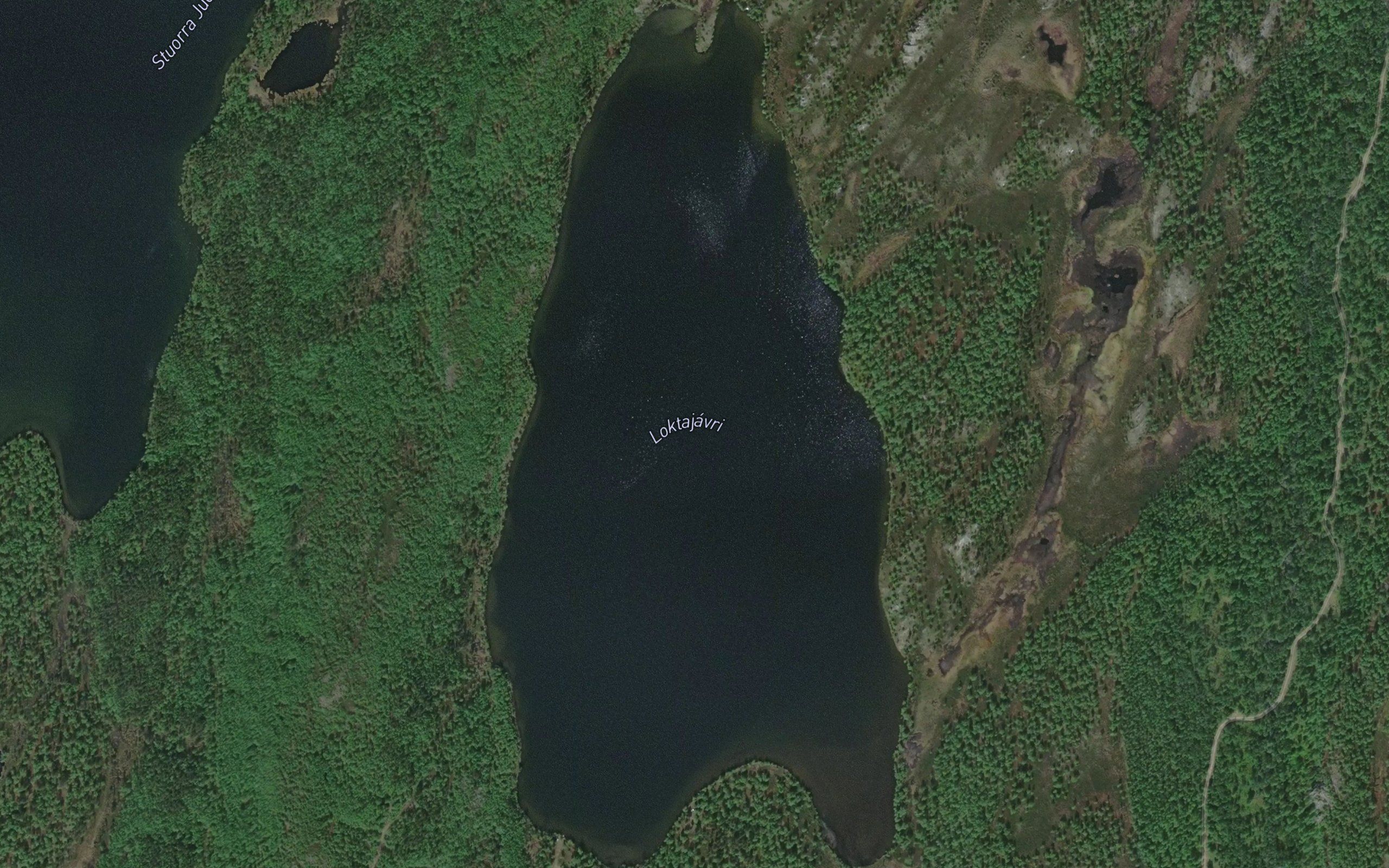 Laktajavri