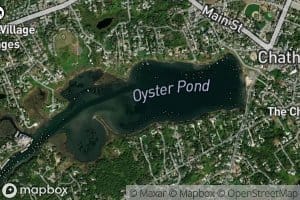Oyster Pond