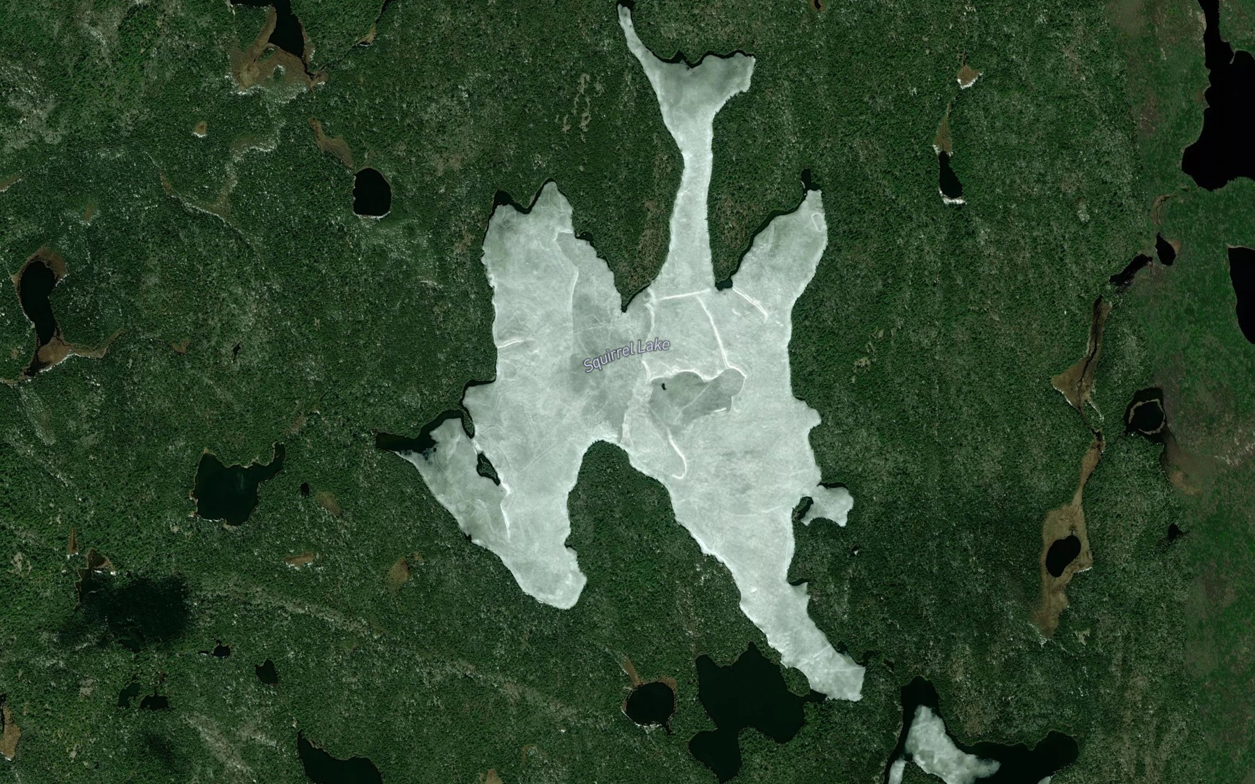 Satellite map of the Squirrel Lake