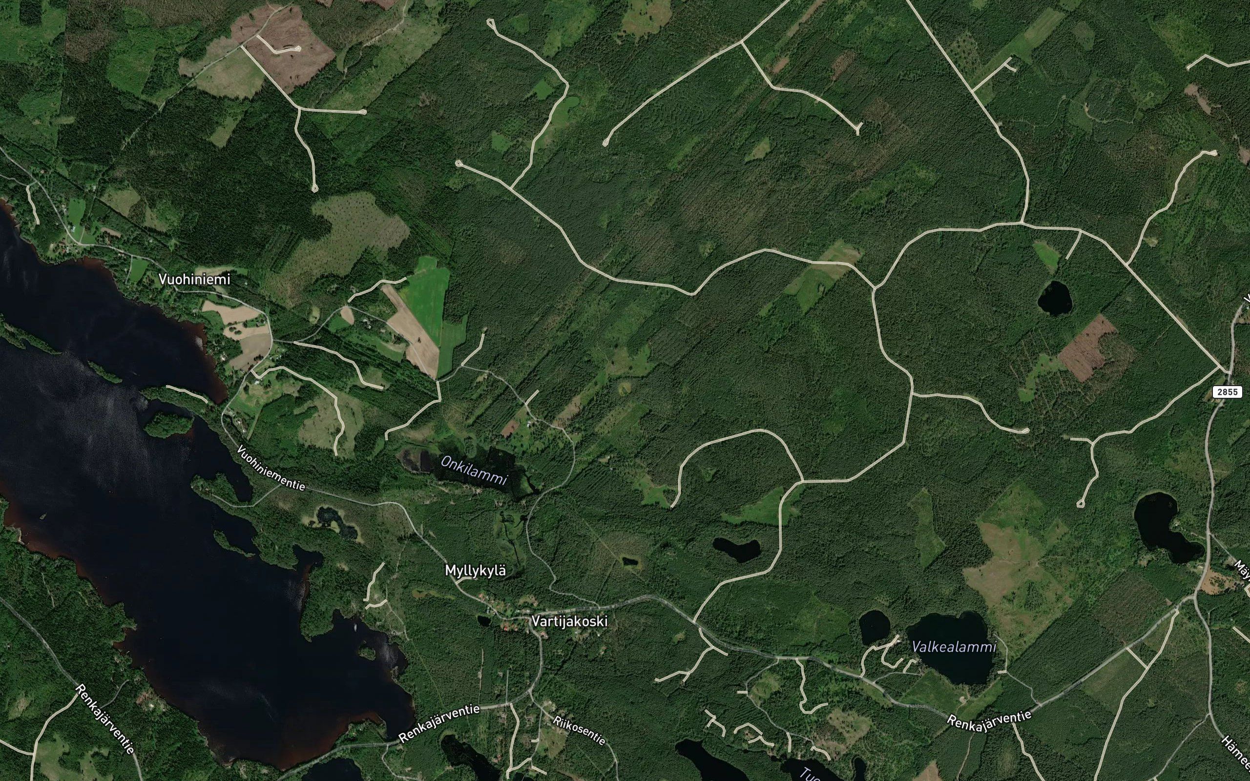 Hirvilammi