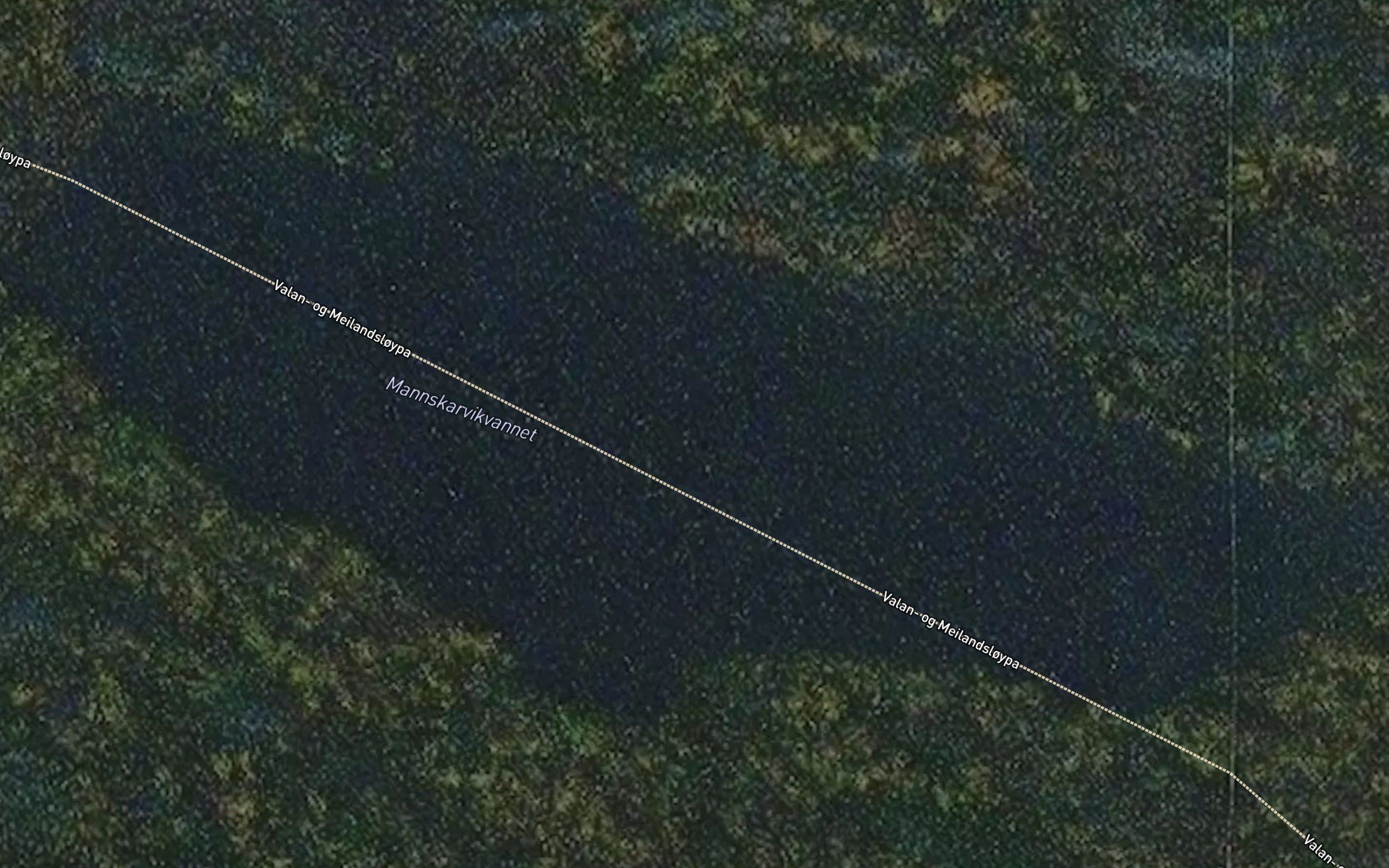 Mannskarvikvannet