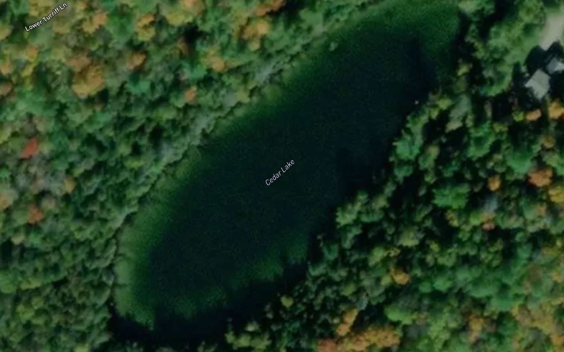 Satellite map of the Cedar Lake