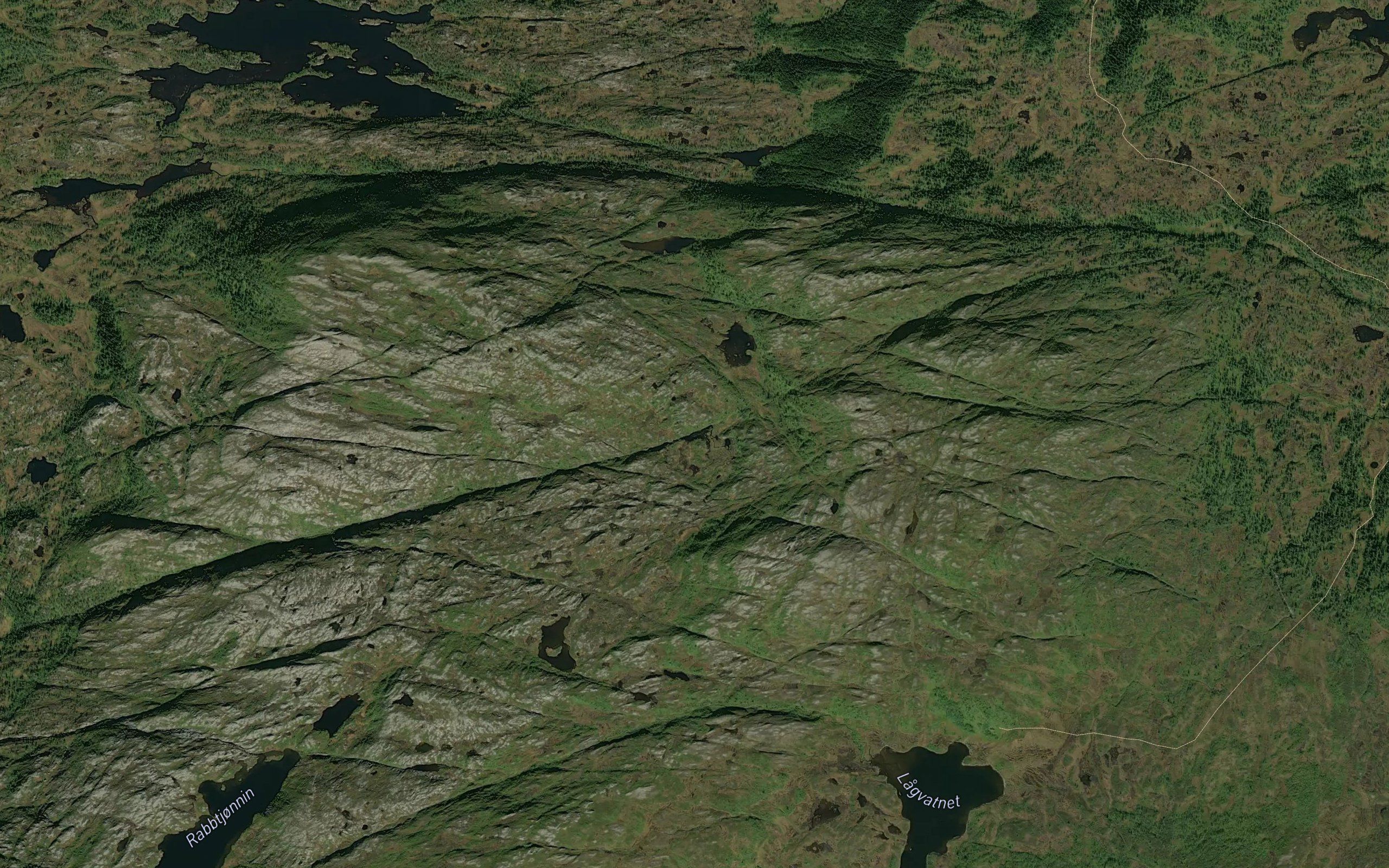 Vakkerlitjornin