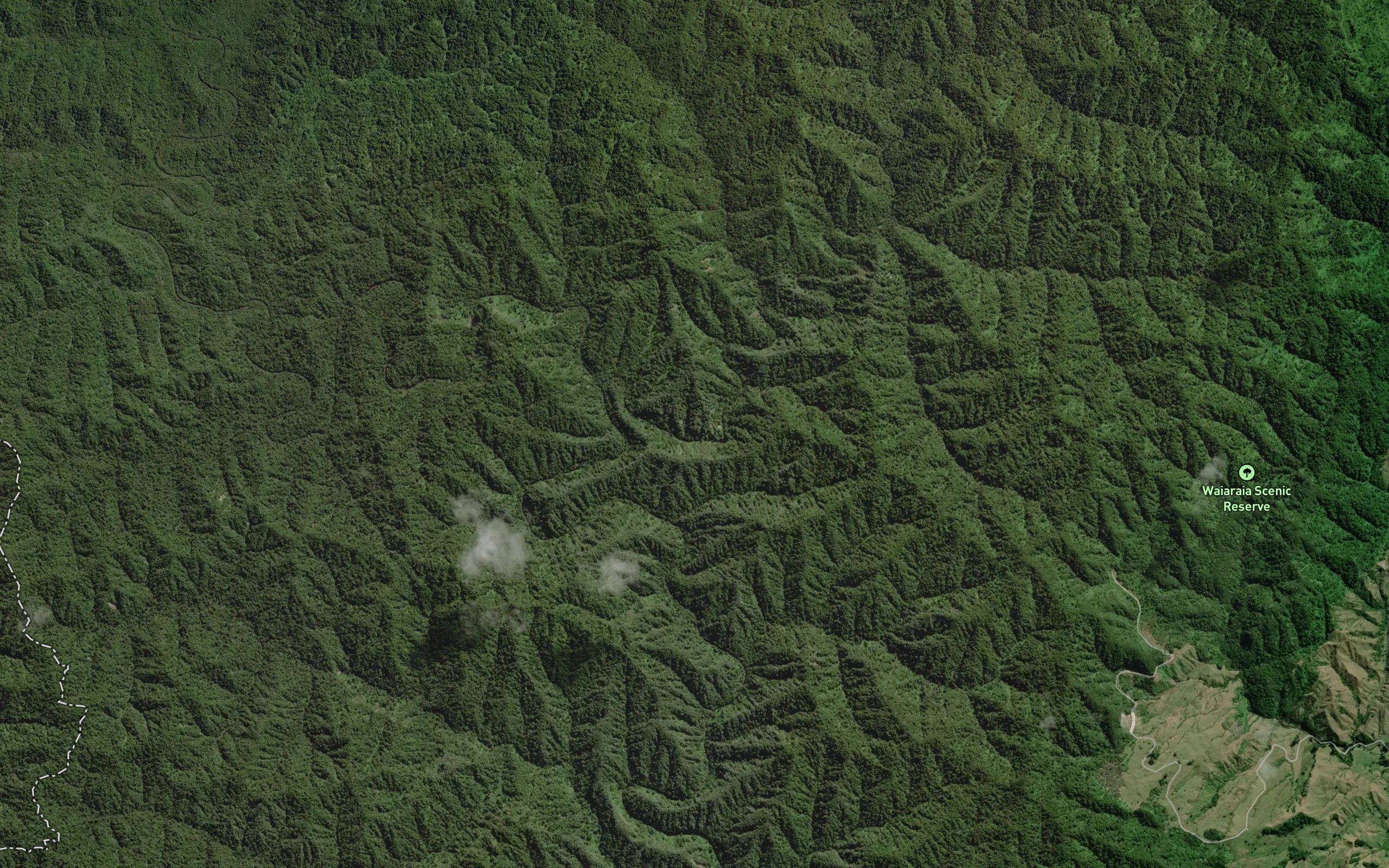 Tangarakau River