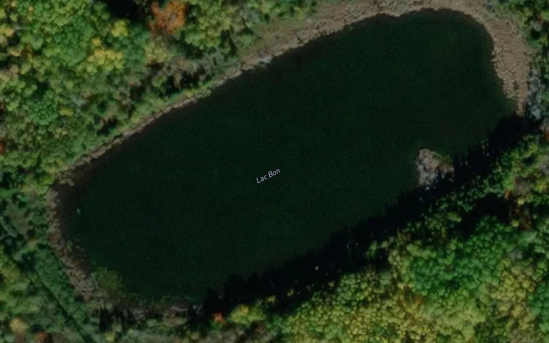 Satellite map of the Lac Bon