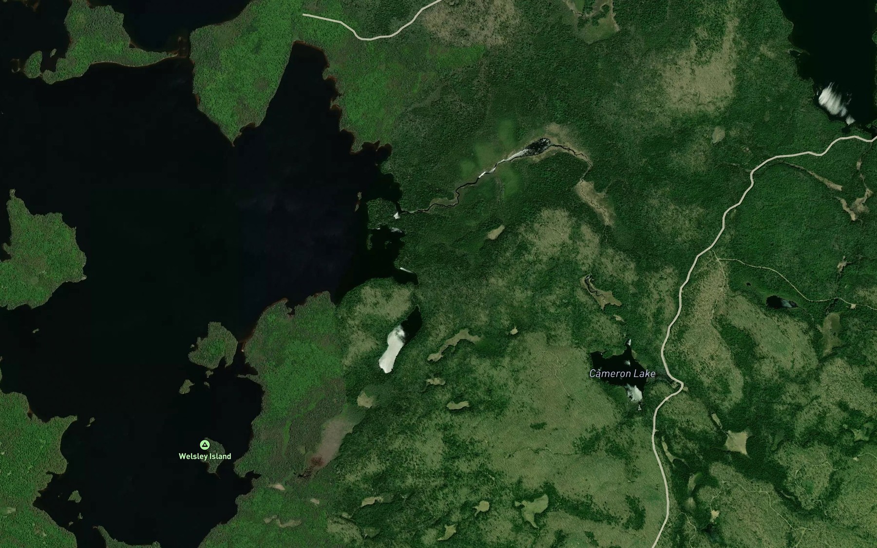 Satellite map of the Cameron Creek