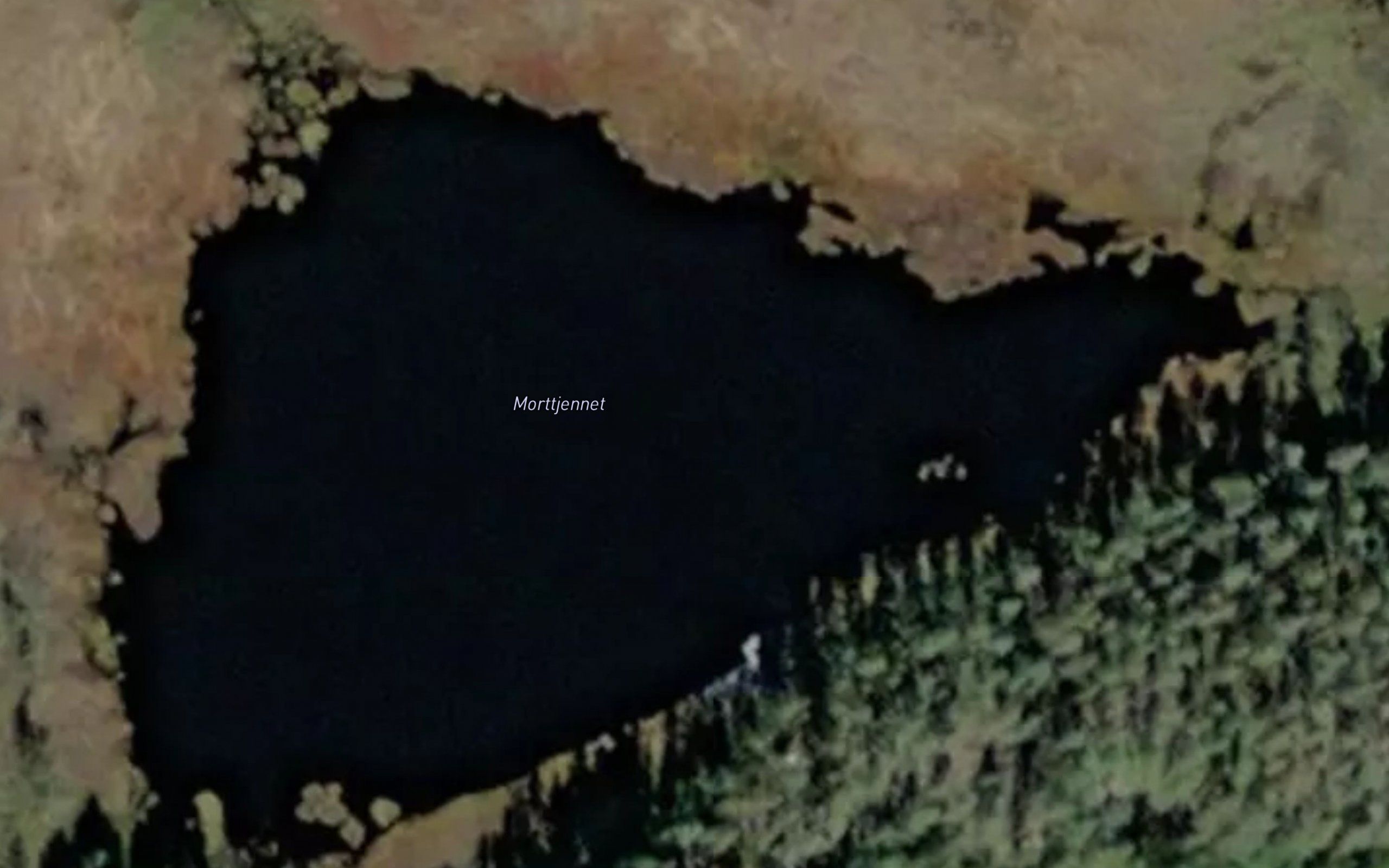Morttjernet