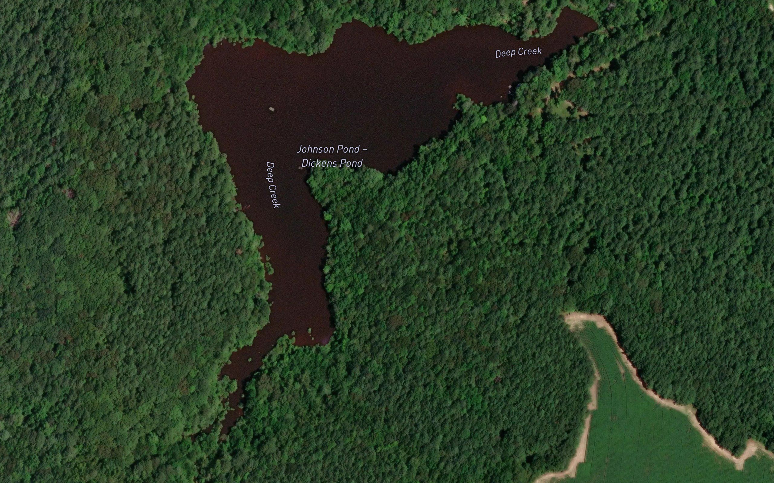 Dickens Pond