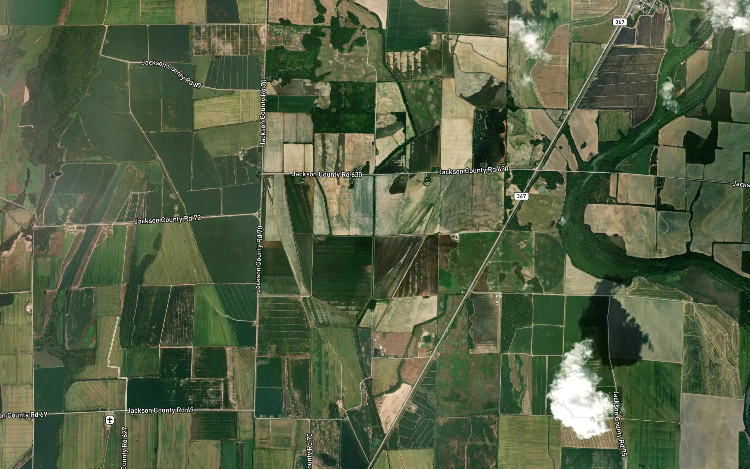 Maple Ditch