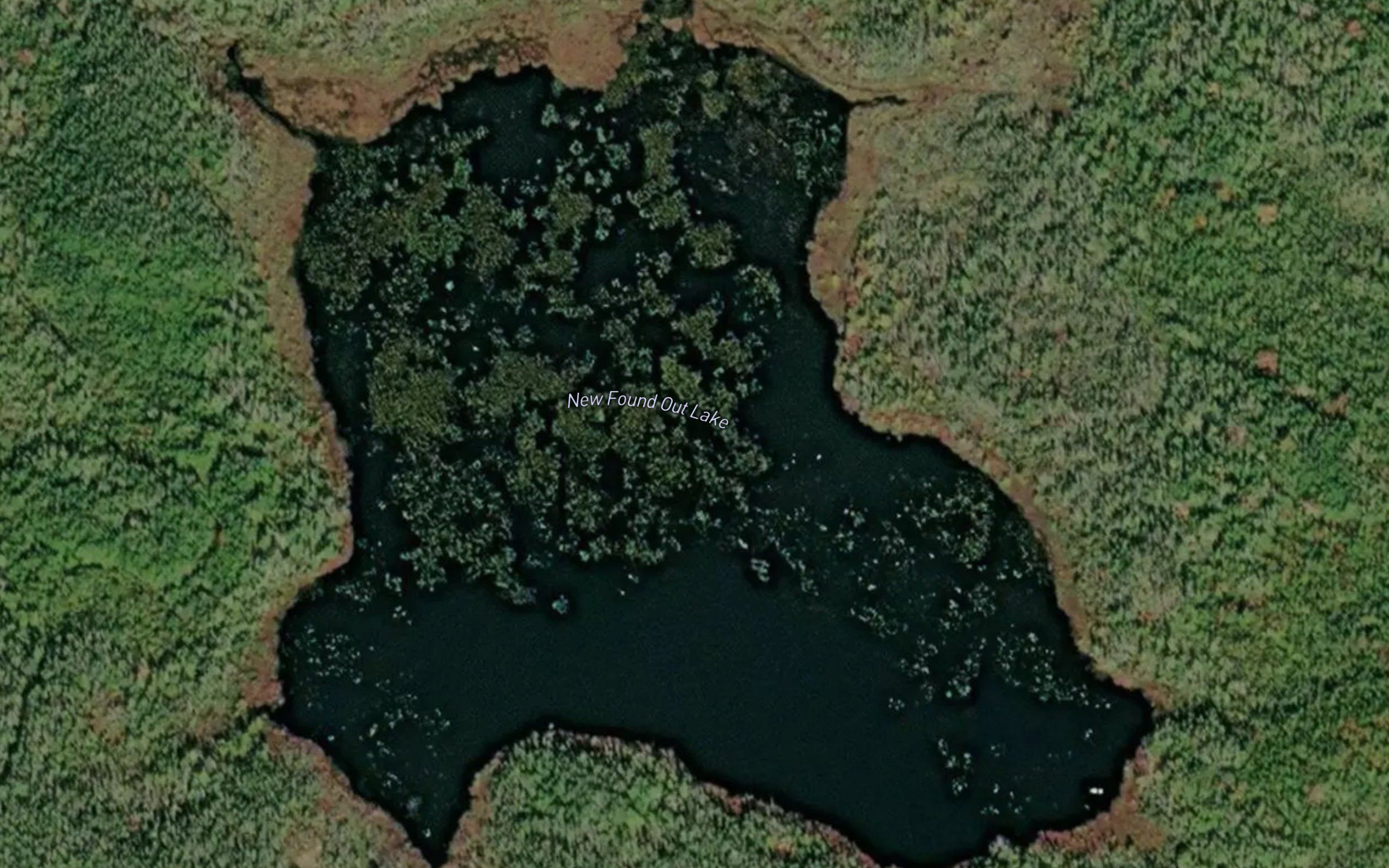New Found Out Lake