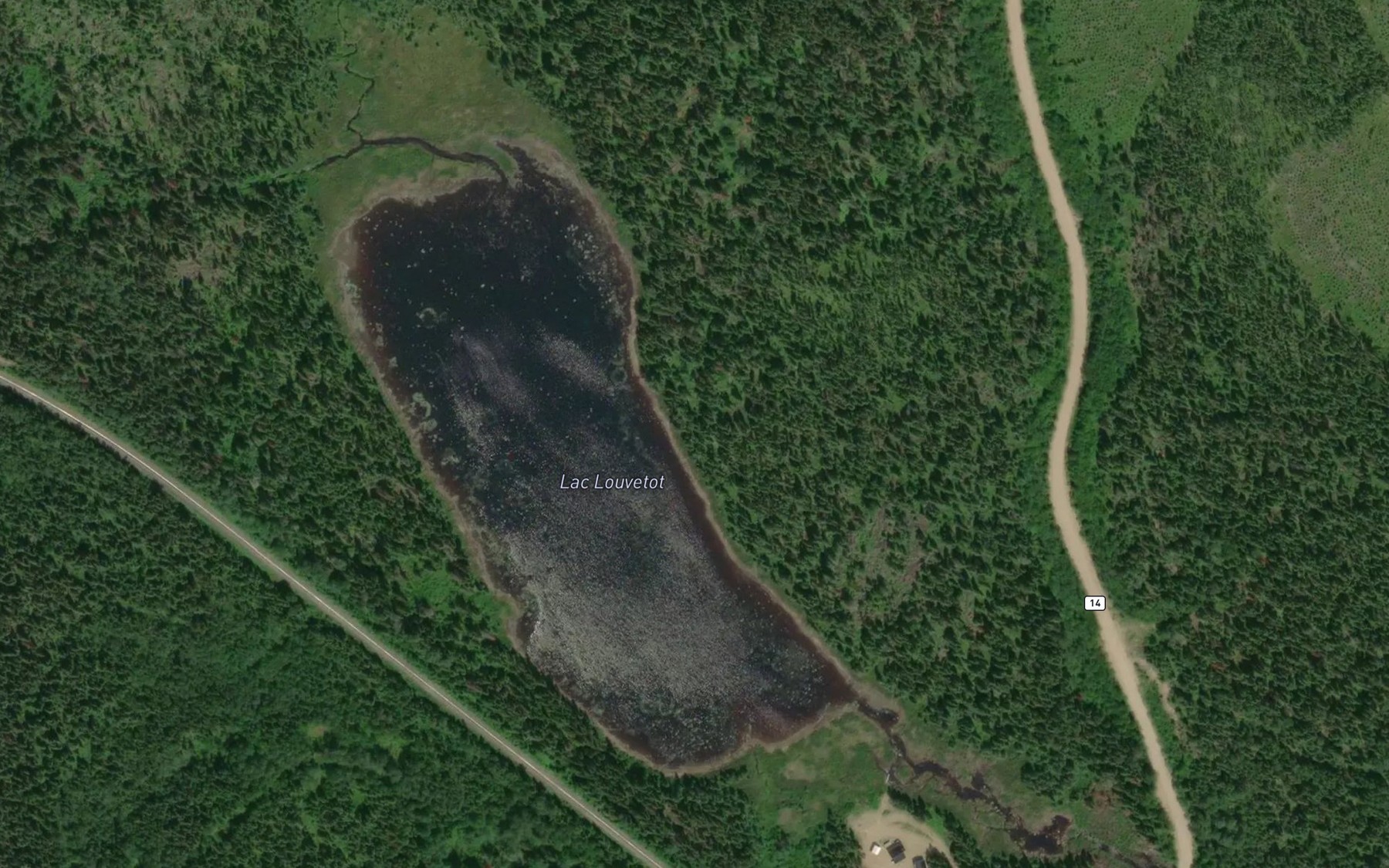Satellite map of the Lac Louvetot