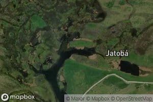 Corixo Trinta e Nove