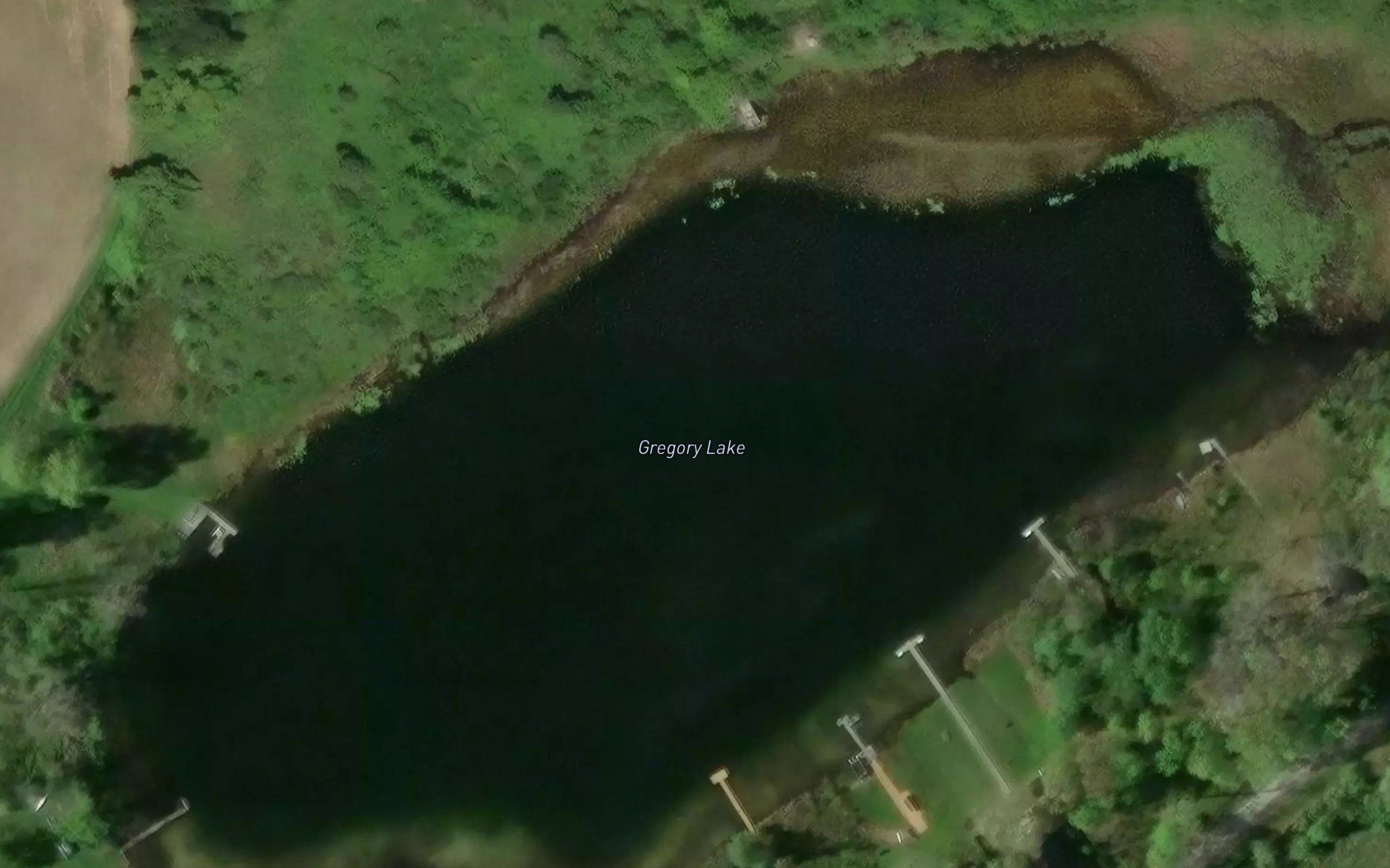 Gregory Lake