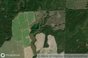 Mink Creek
