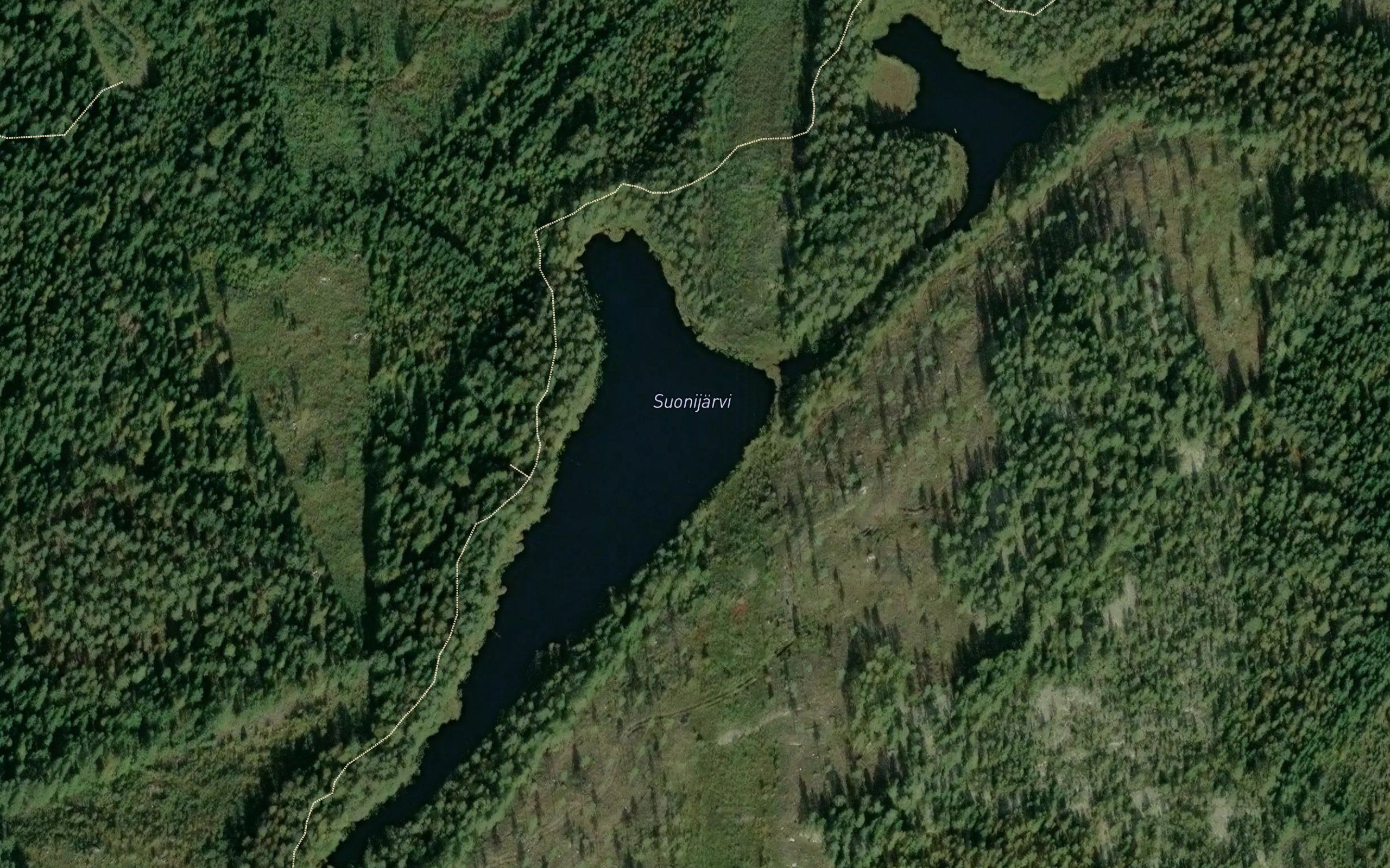 Suonijarvi
