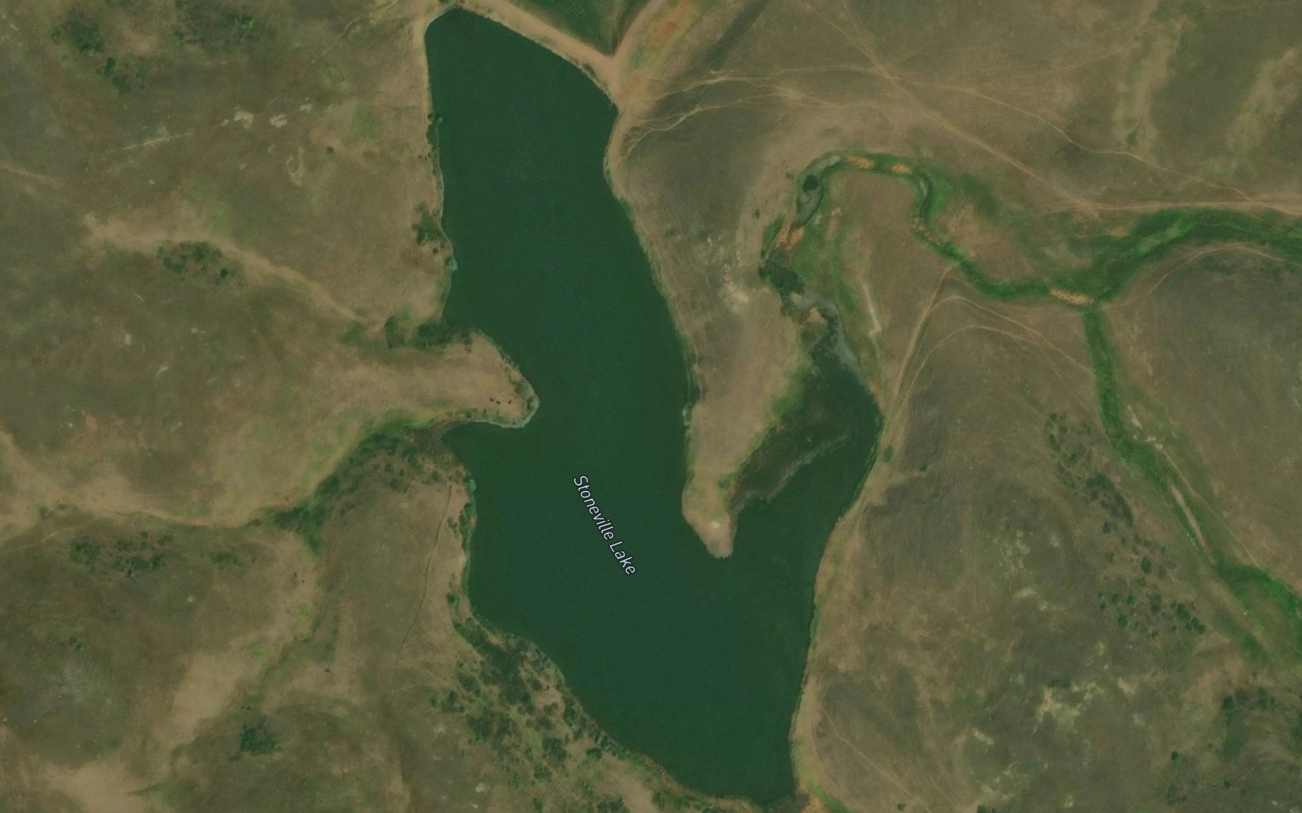 Stoneville Lake