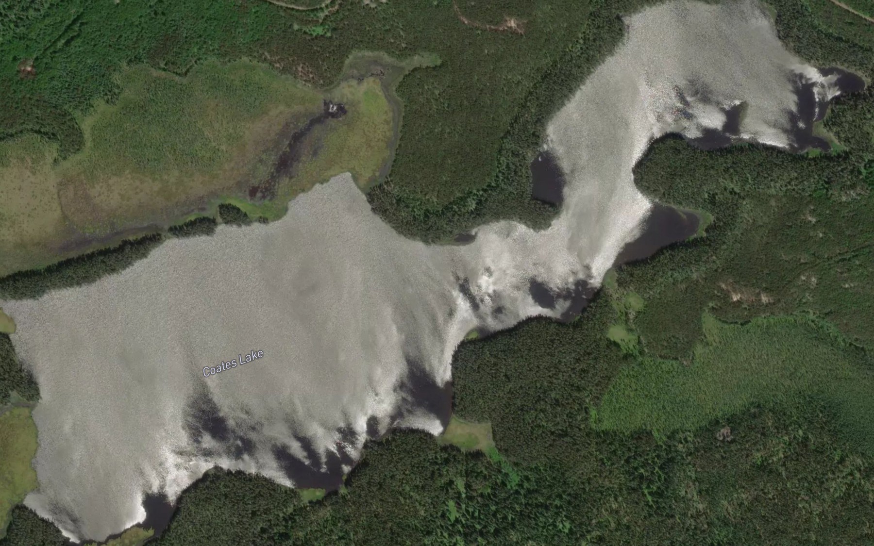Satellite map of the Coates Lake