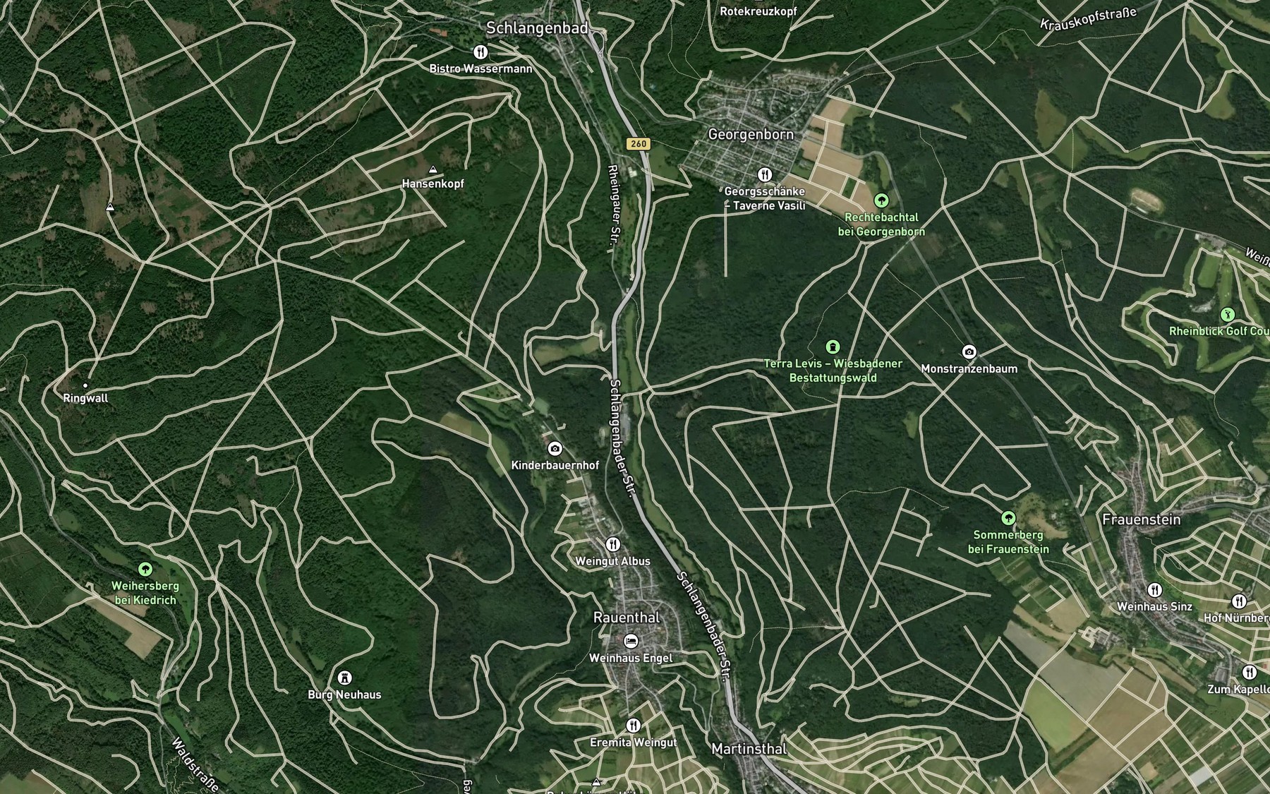 Satellite map of the Rechtebach