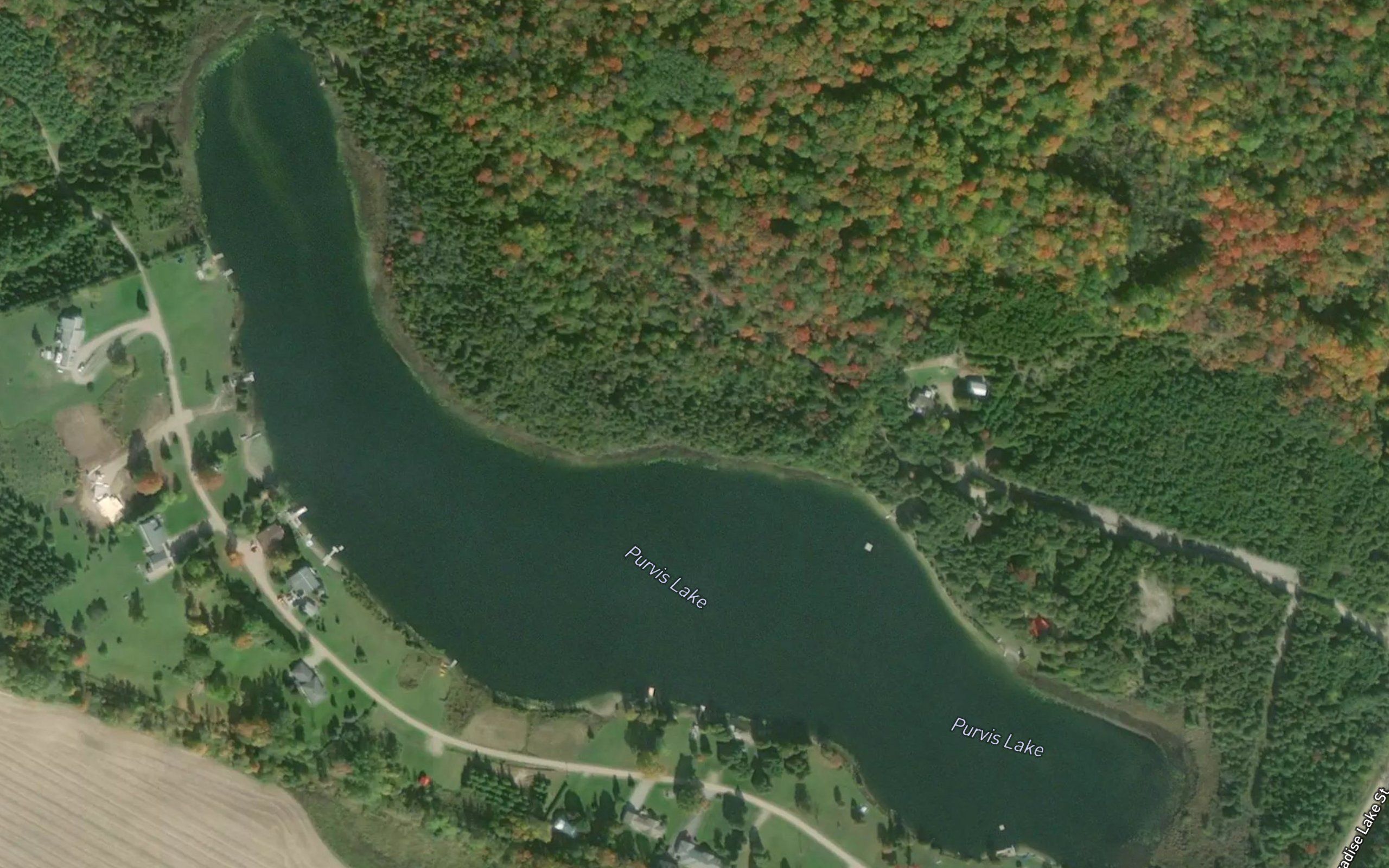 Purvis Lake
