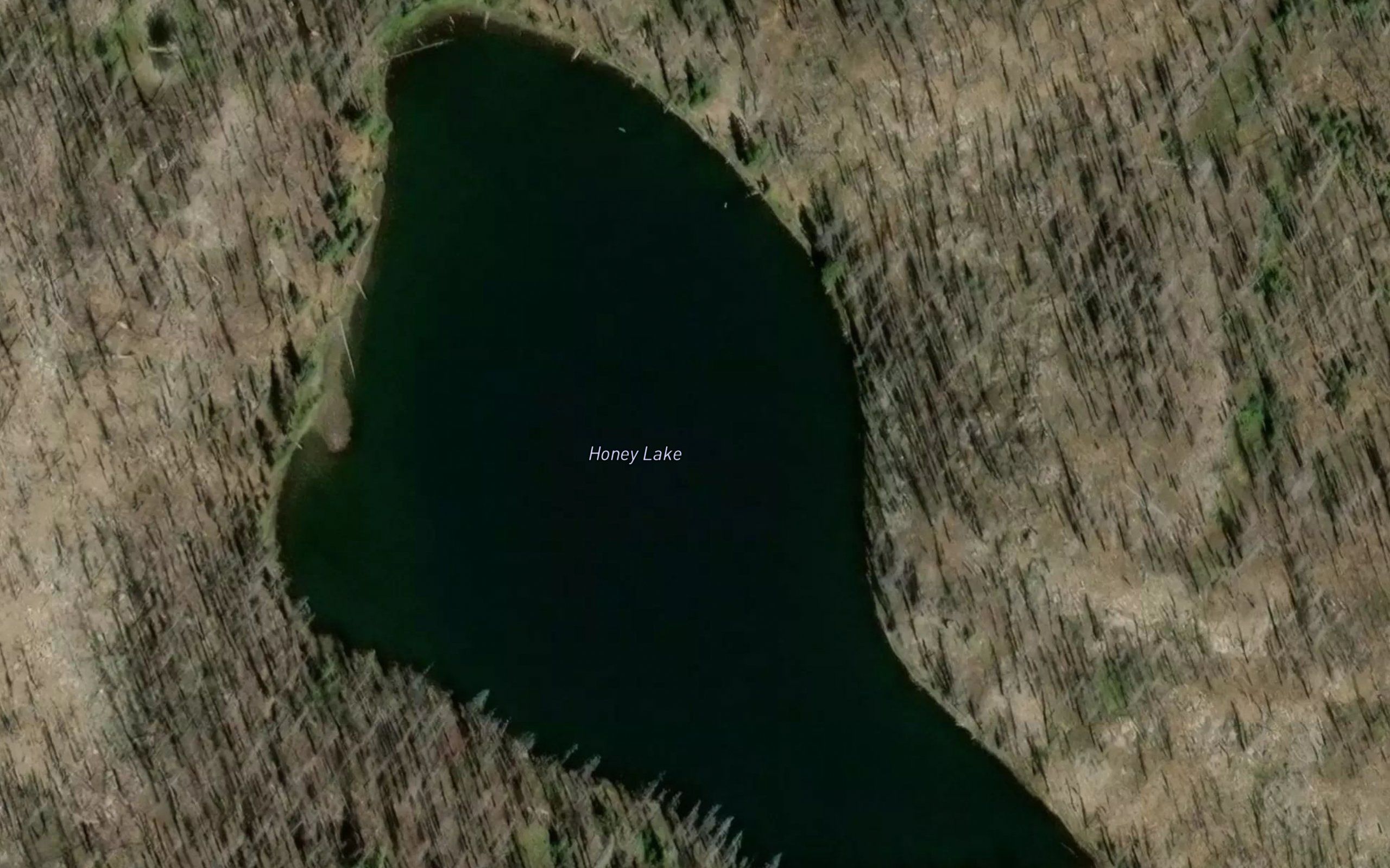 Honey Lake