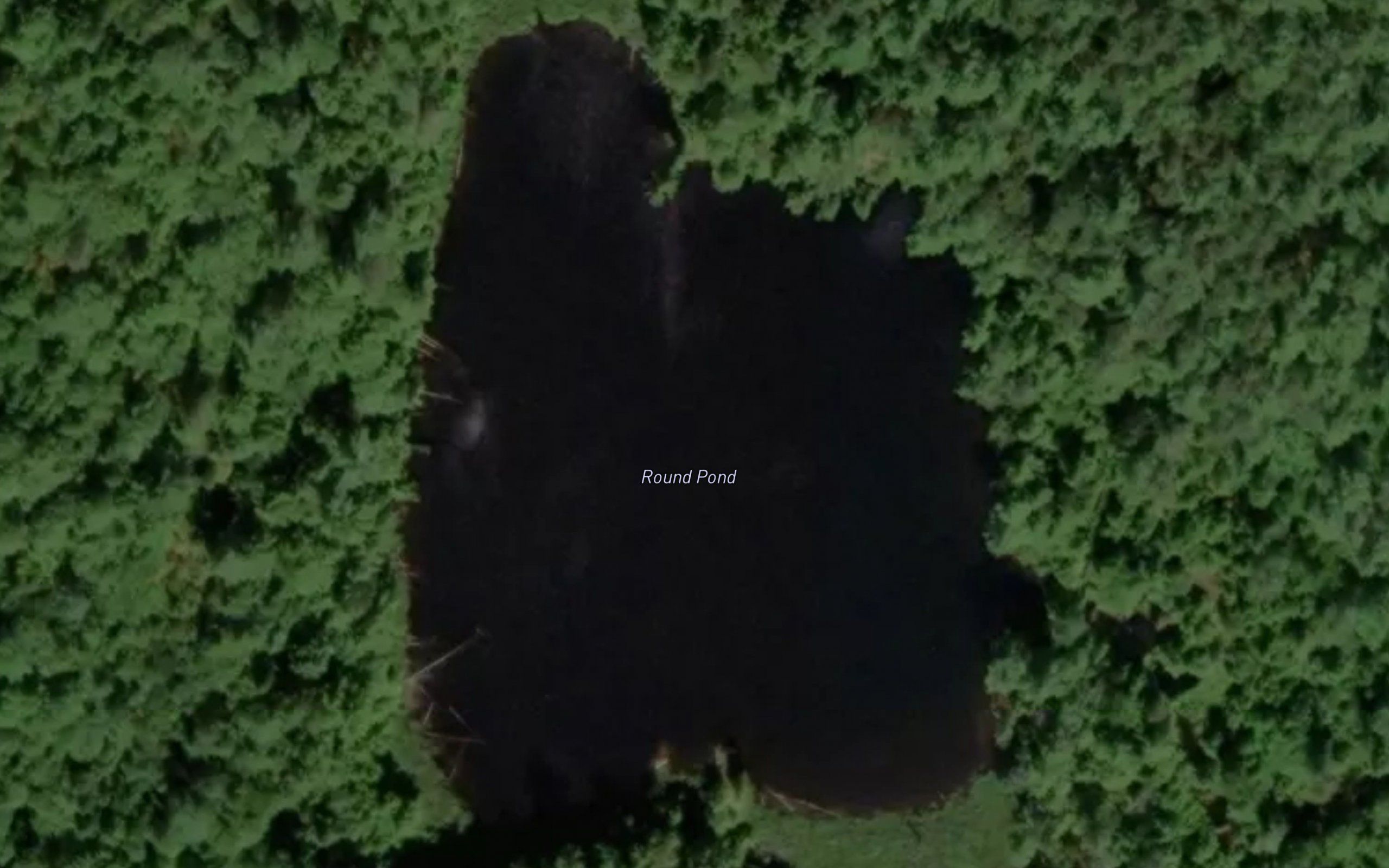 Round Pond