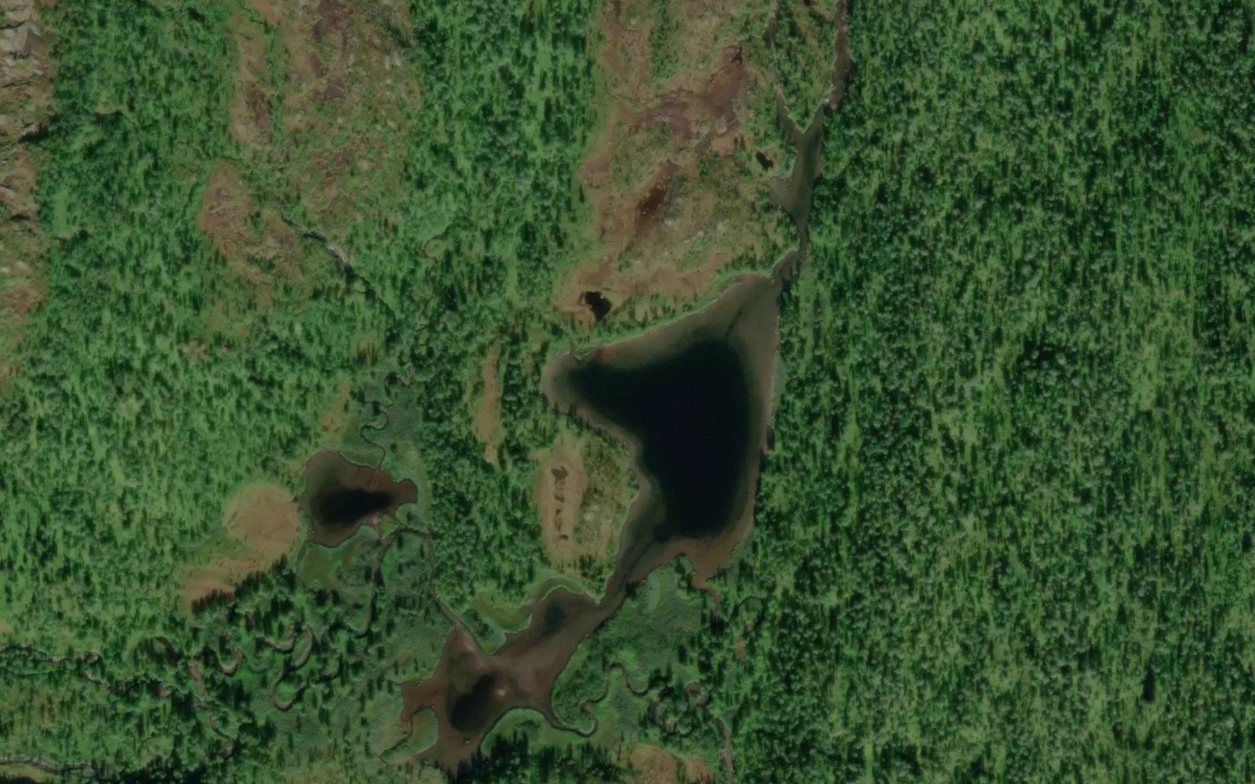Storholetjorna