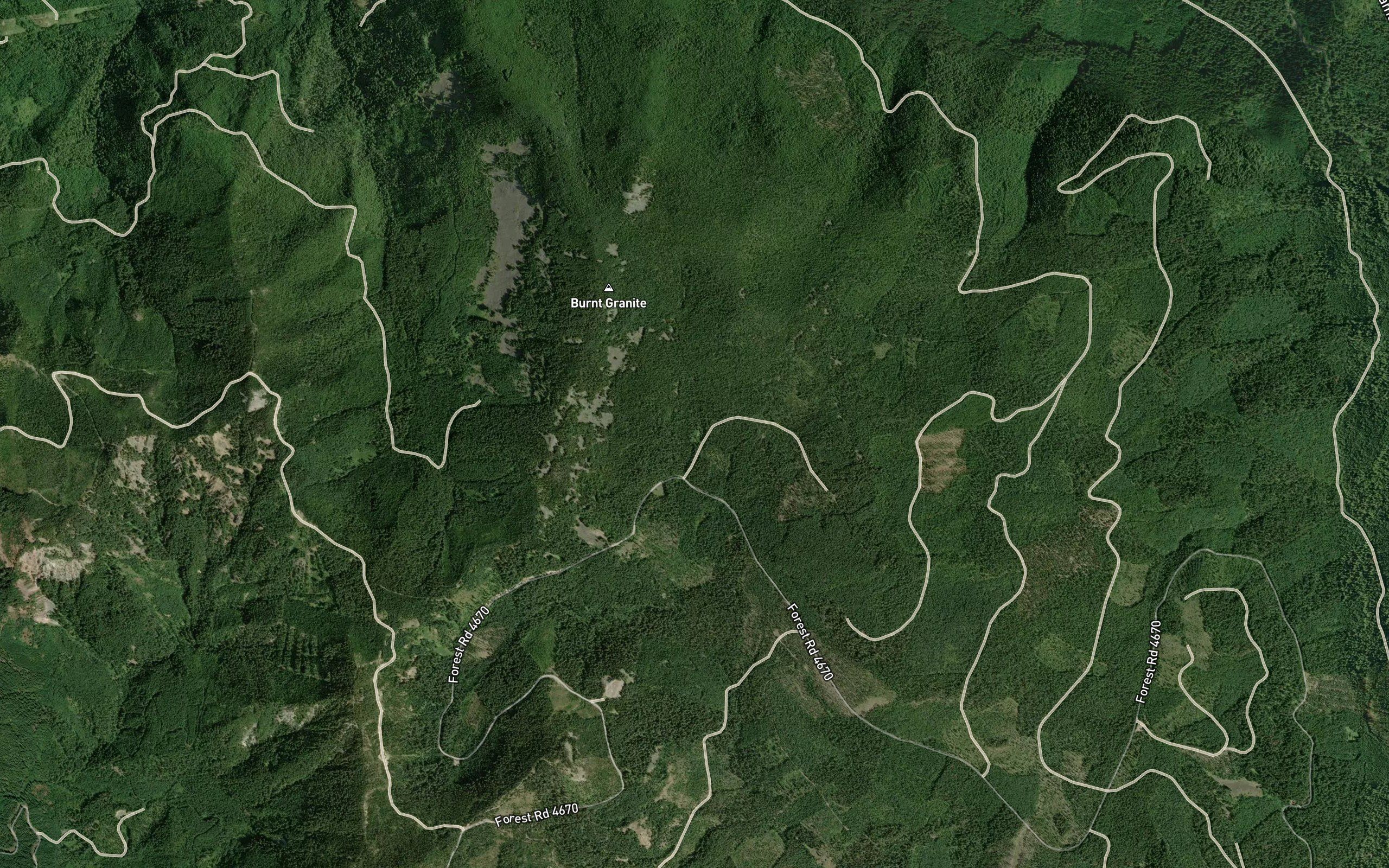 Tarzan Springs