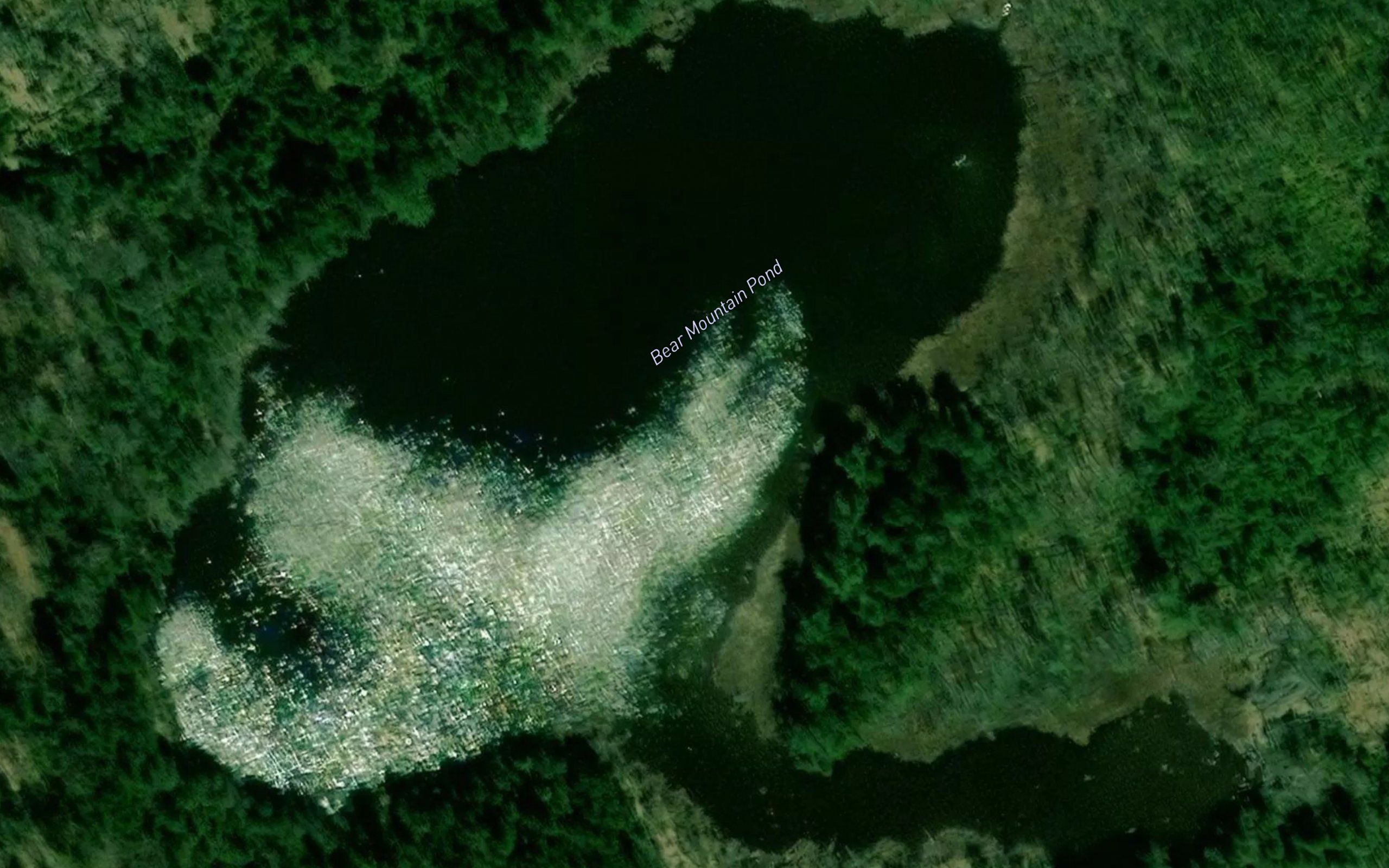 Bear Mountain Pond