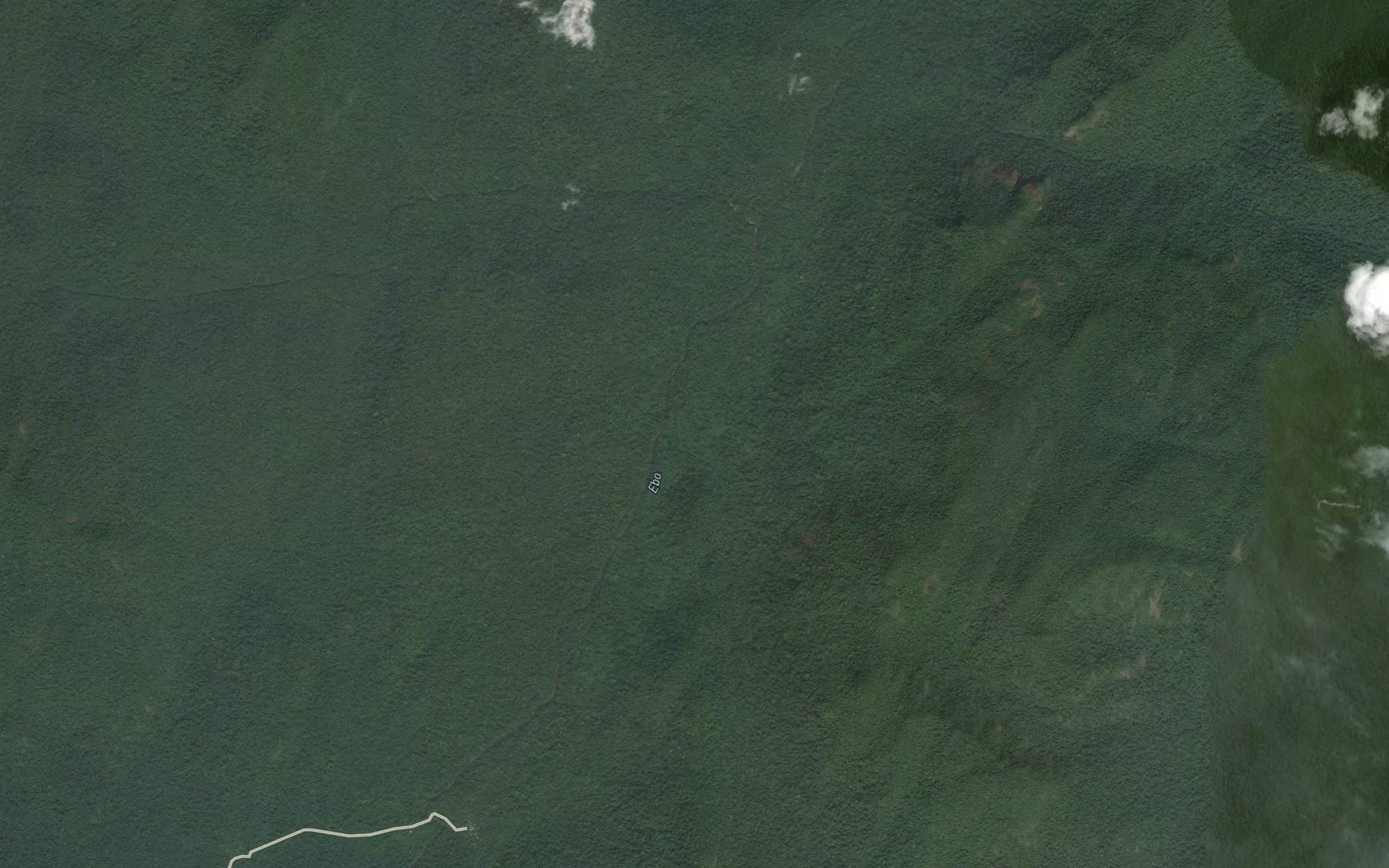 Satellite map of the Njongo
