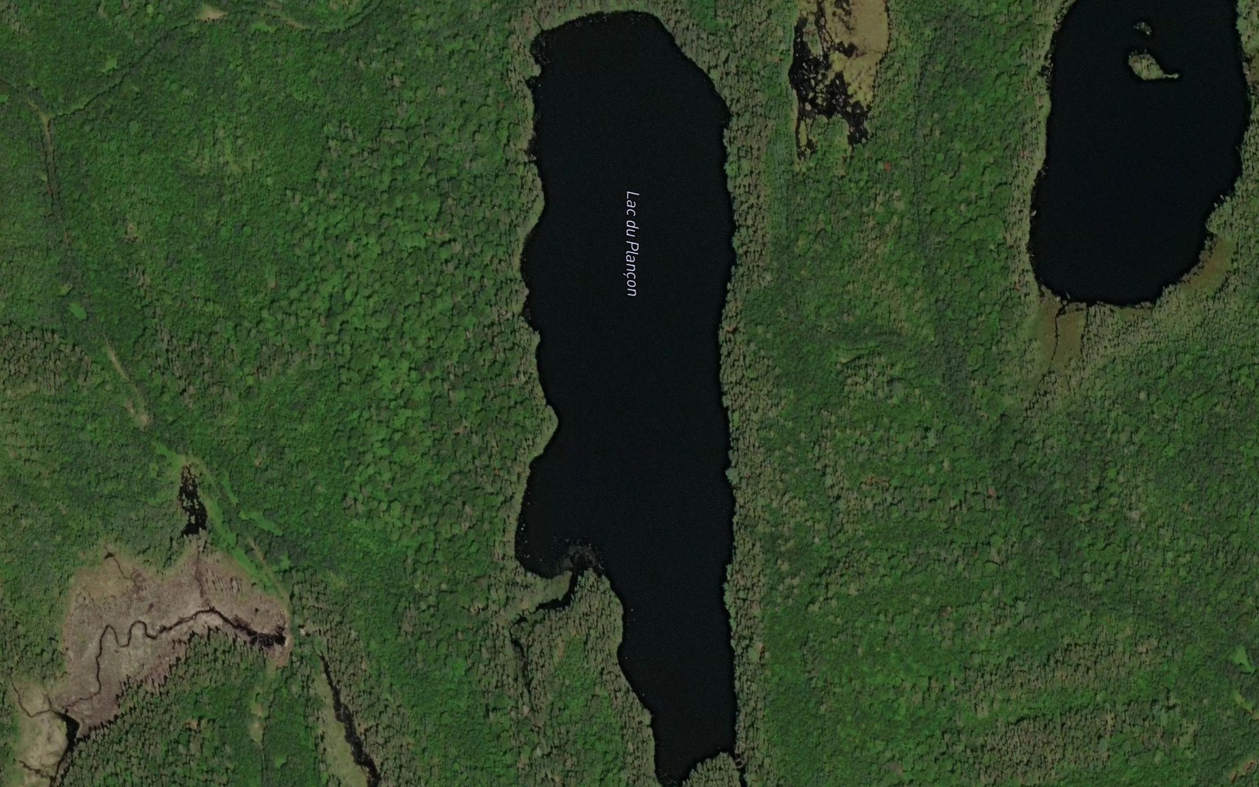 Satellite map of the Lac du Plancon