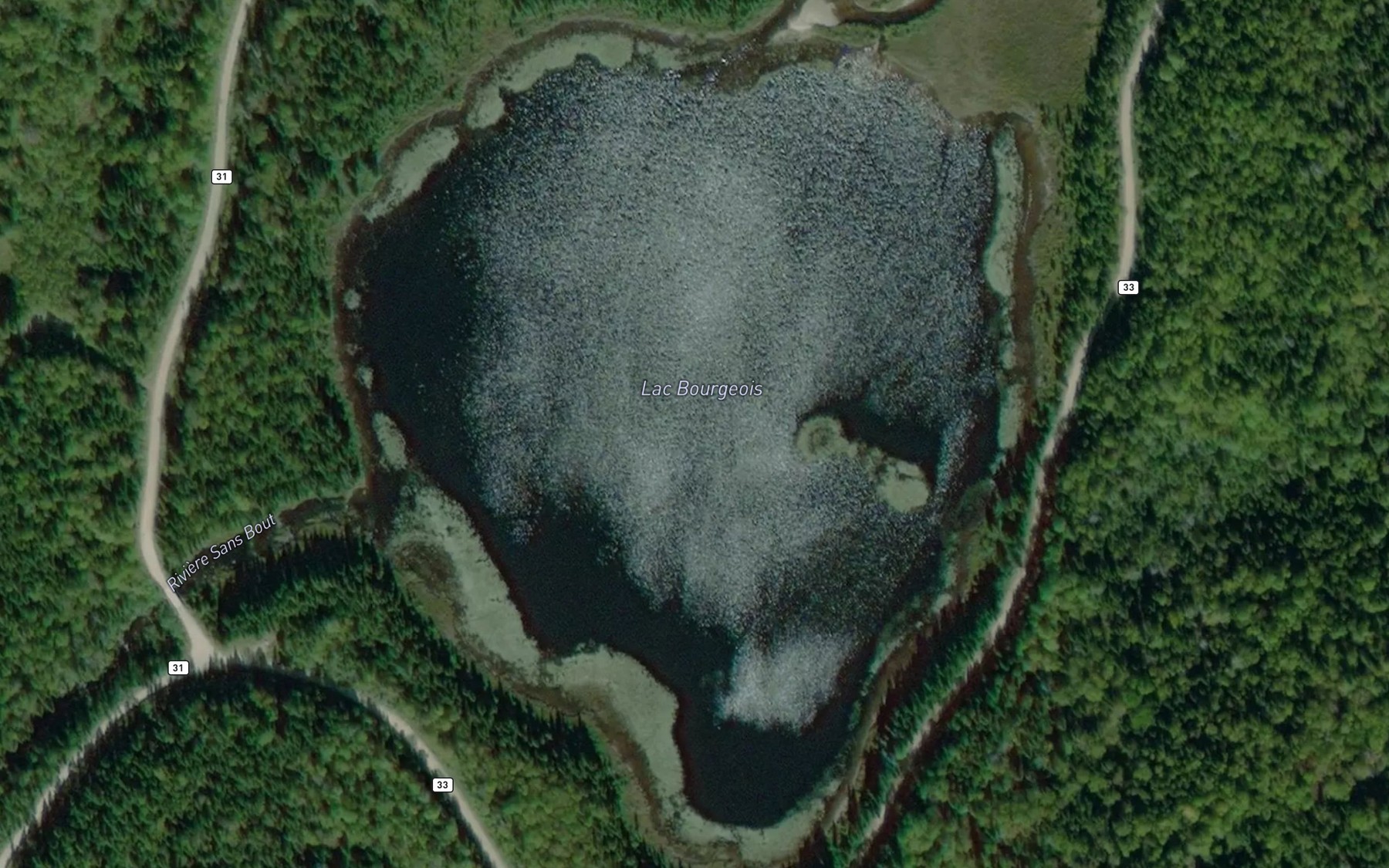 Satellite map of the Lac Bourgeois