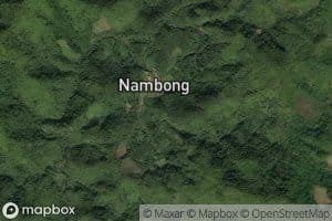 Nam Bong