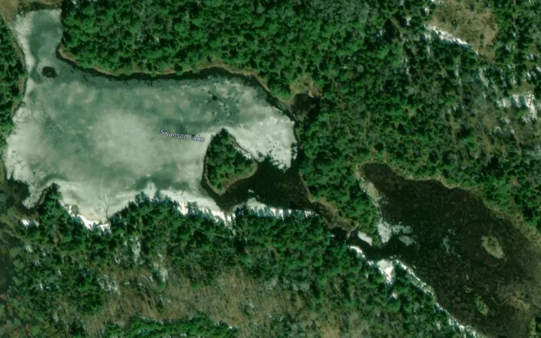Satellite map of the Swanson Lake