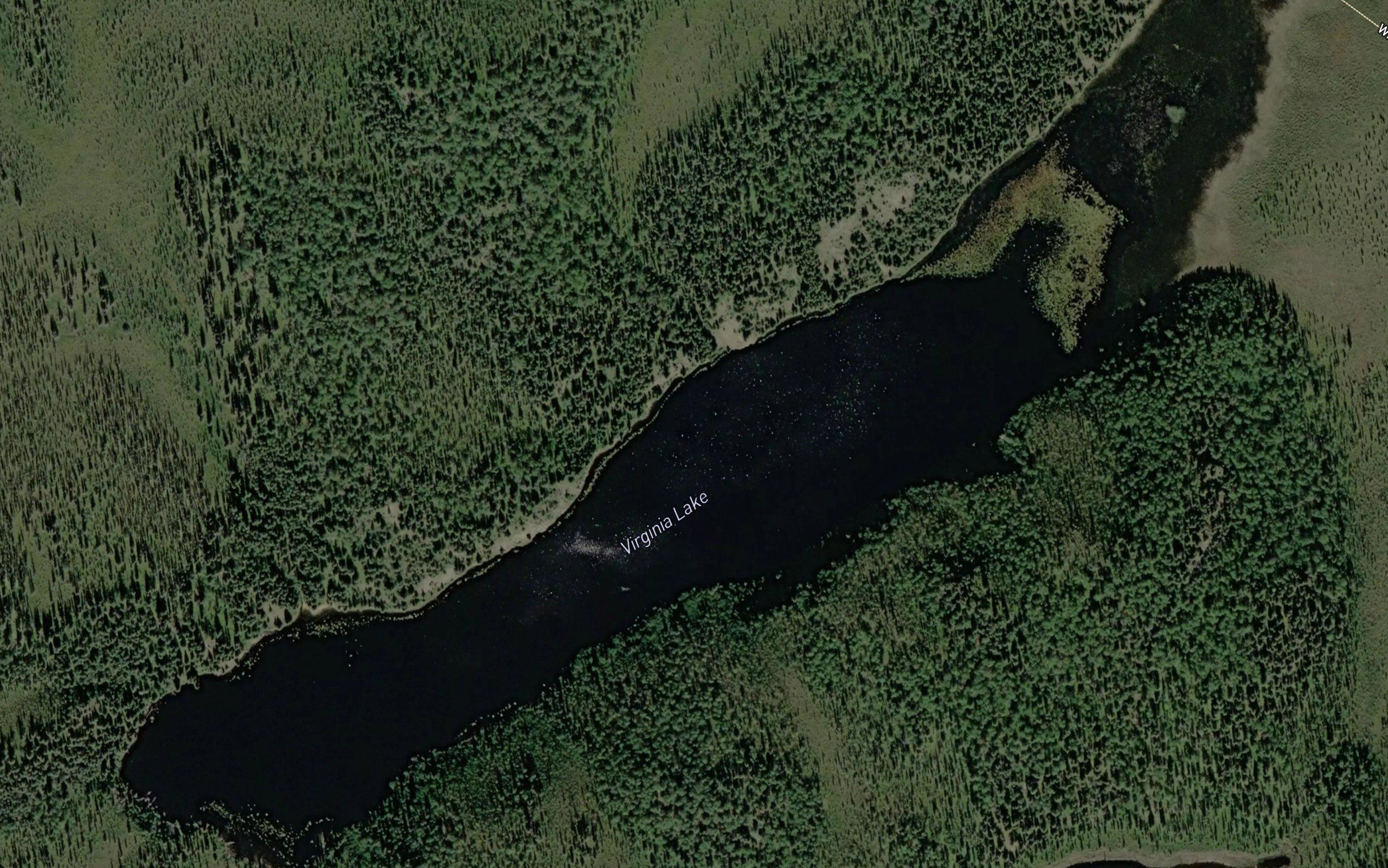 Virginia Lake